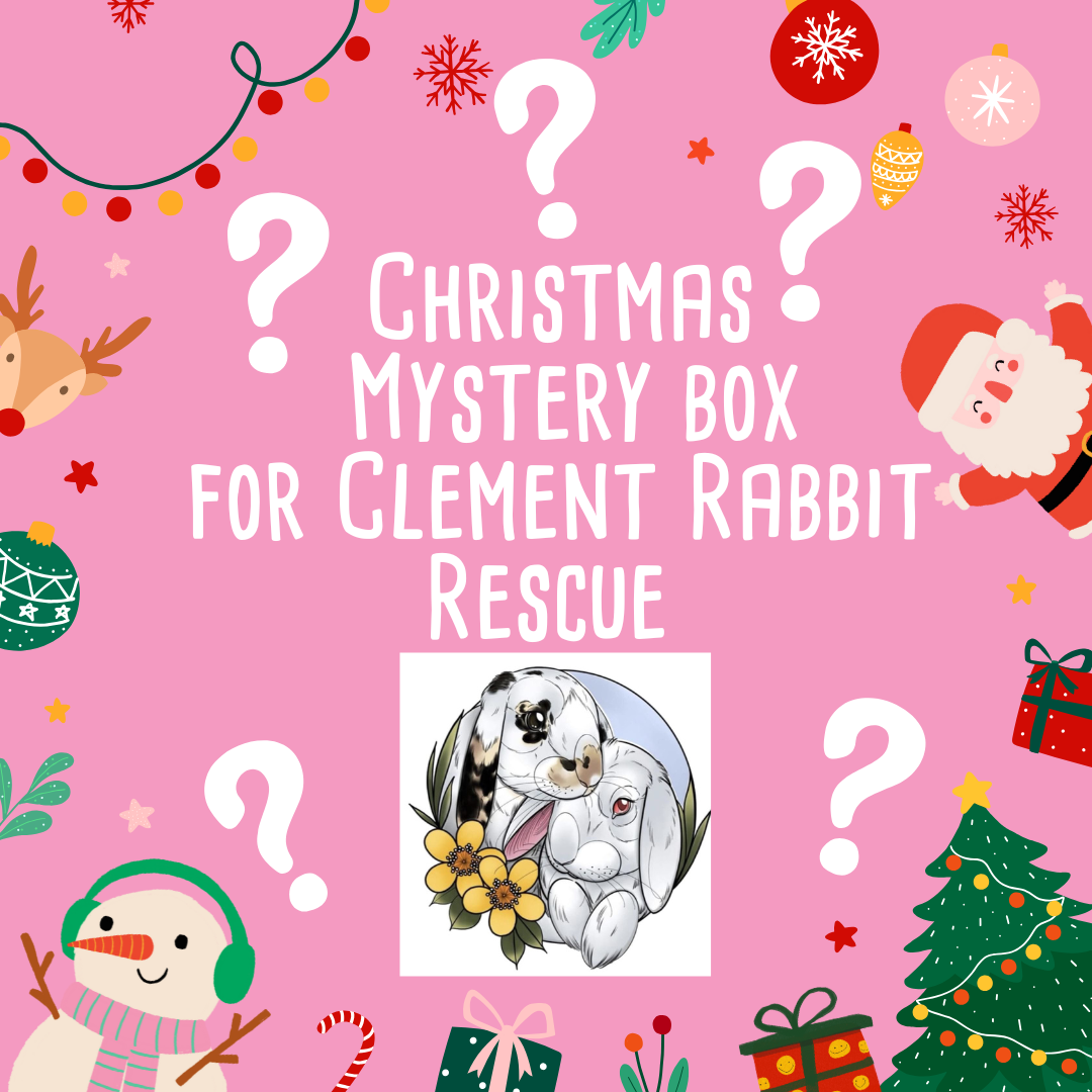 Christmas Mystery Box For Clement Rabbit Rescue