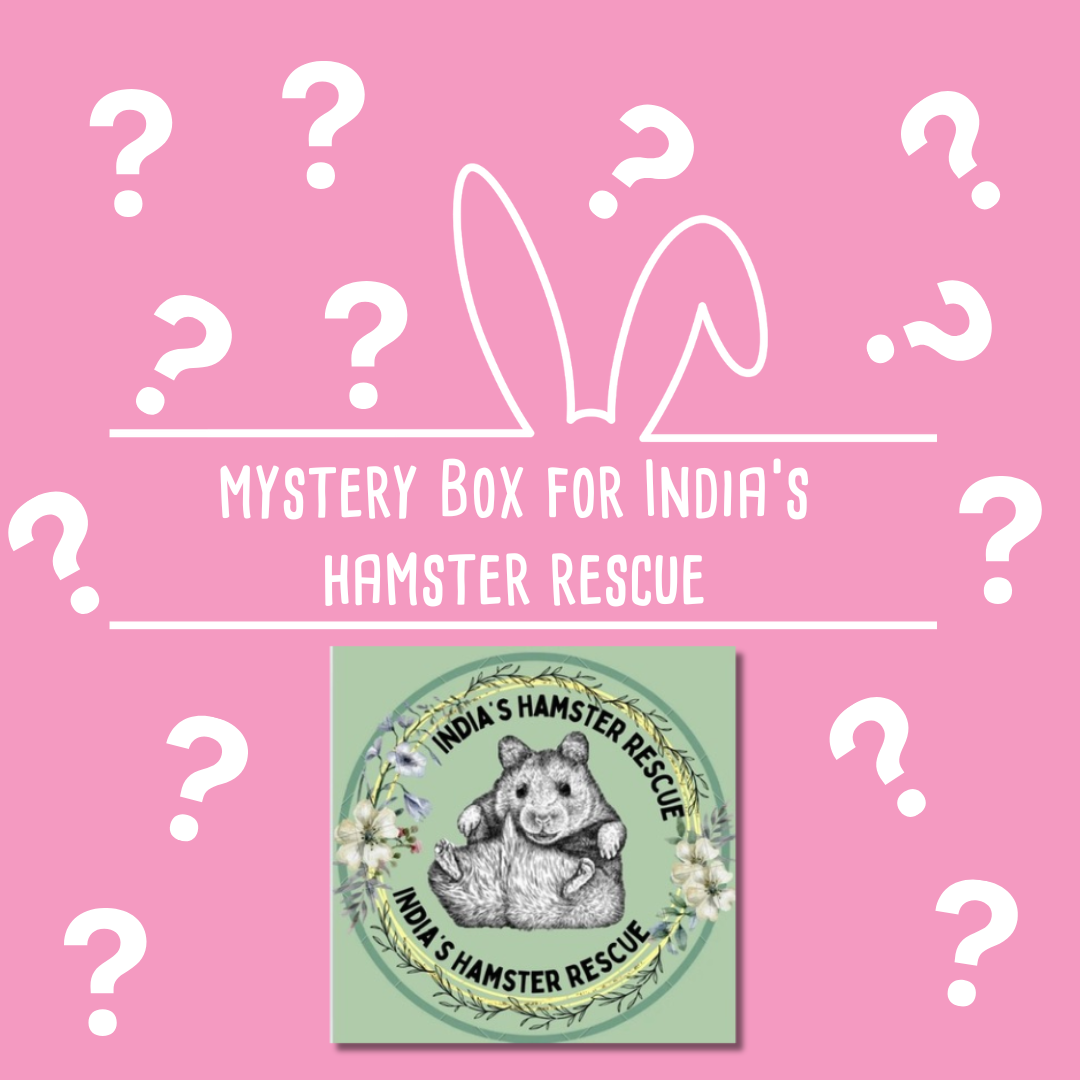 Mystery Box for India's Hamster Rescue