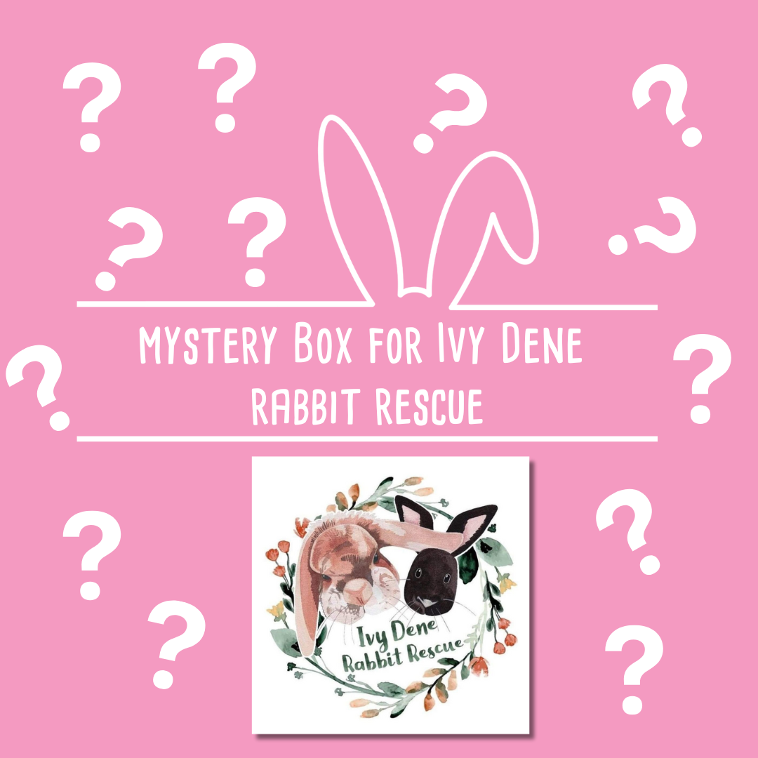 Mystery Box for Ivy Dene Rabbit Rescue
