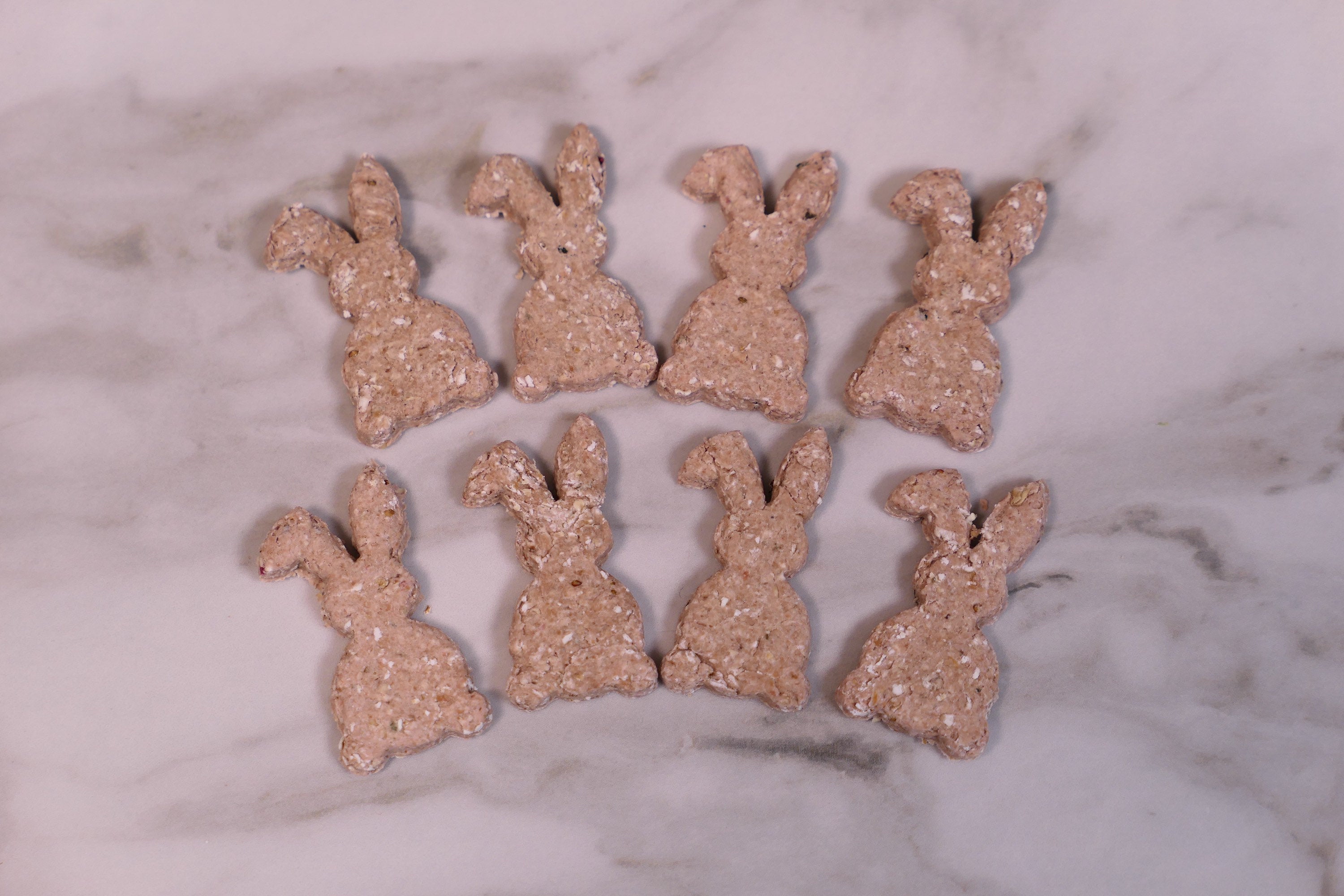 Bunny Biscuit Treat Bag
