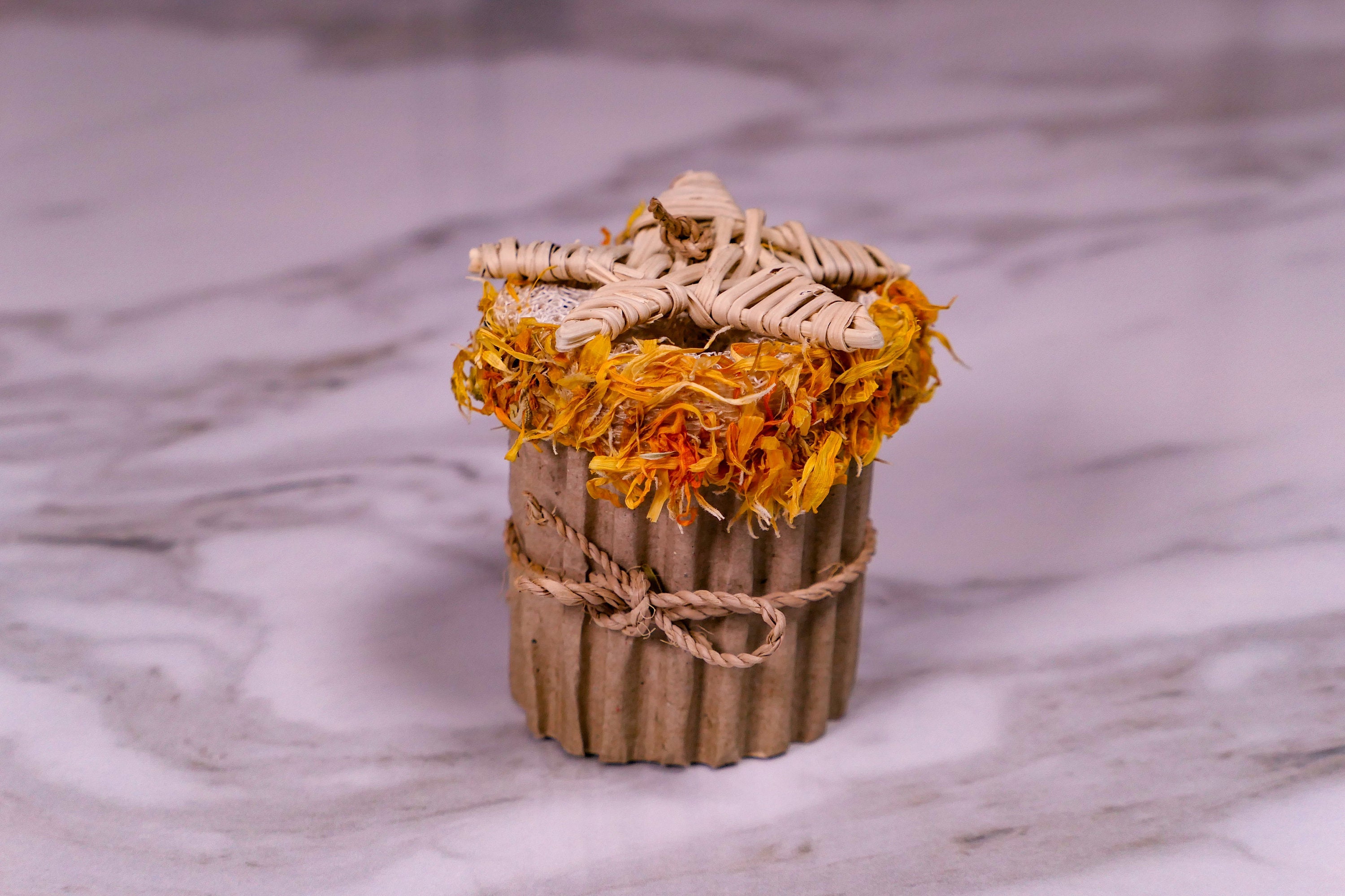 Cupcake Chew Toy