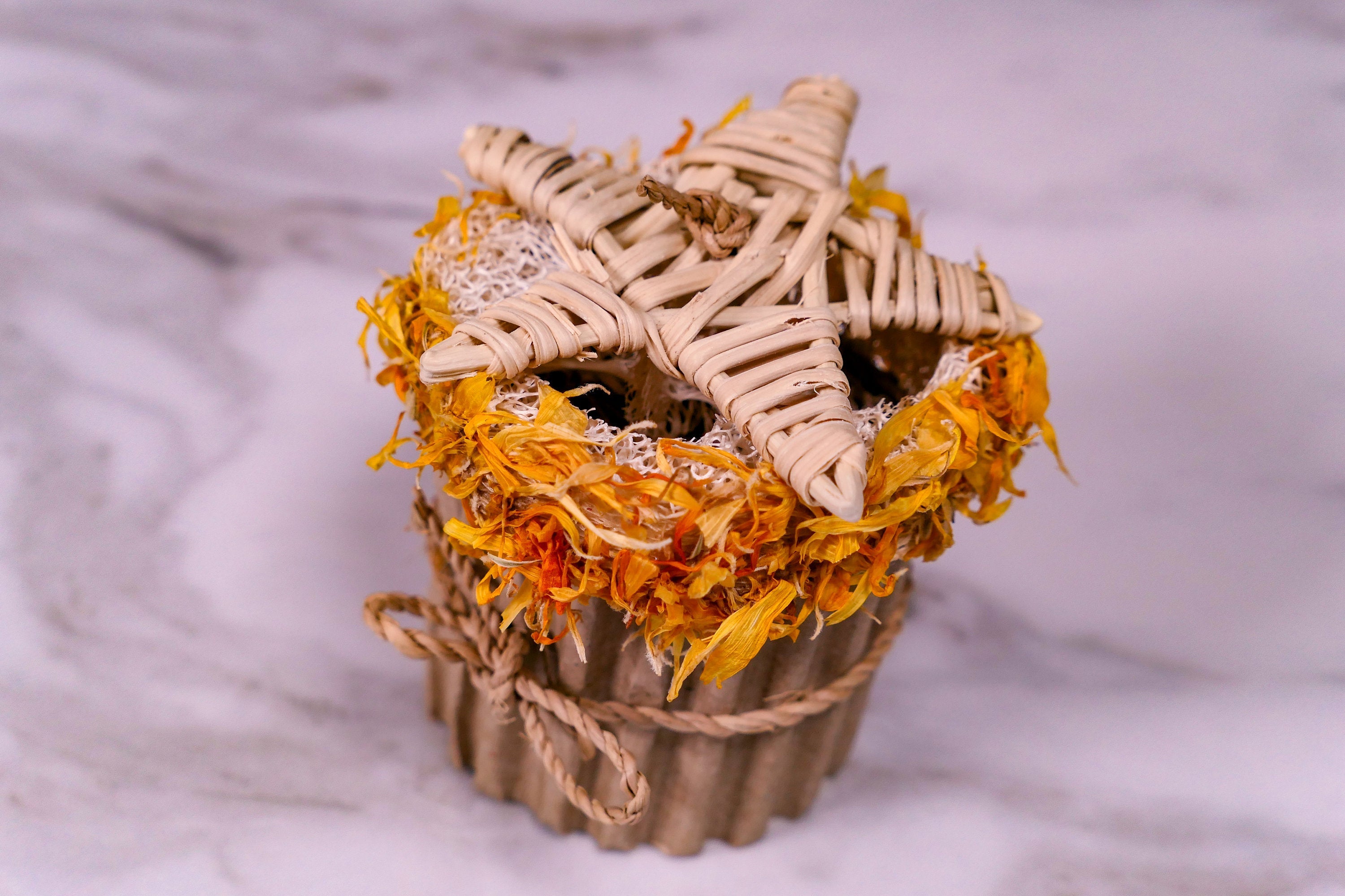 Cupcake Chew Toy