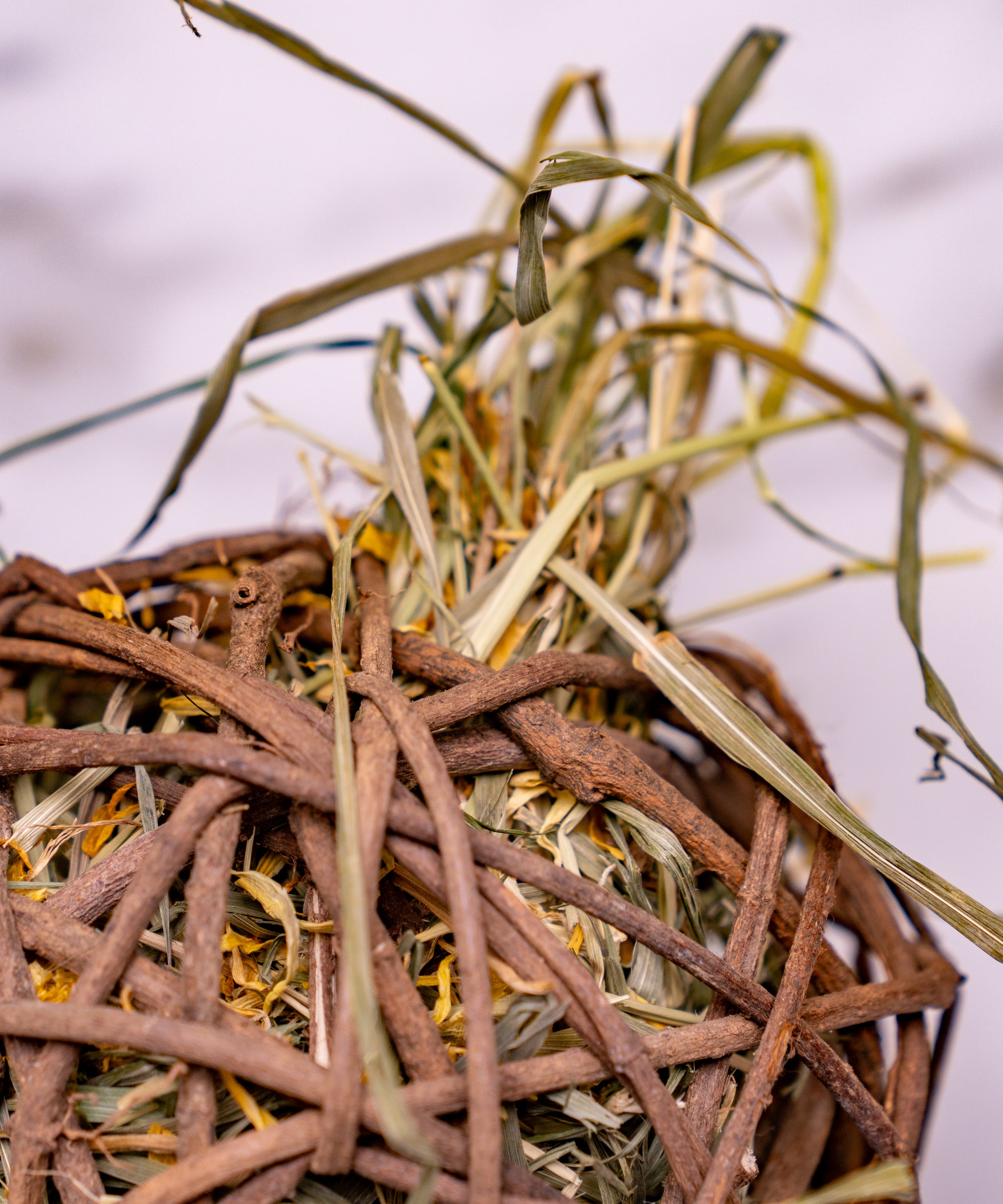 Timothy Hay & Flowers stuffed Christmas Pudding