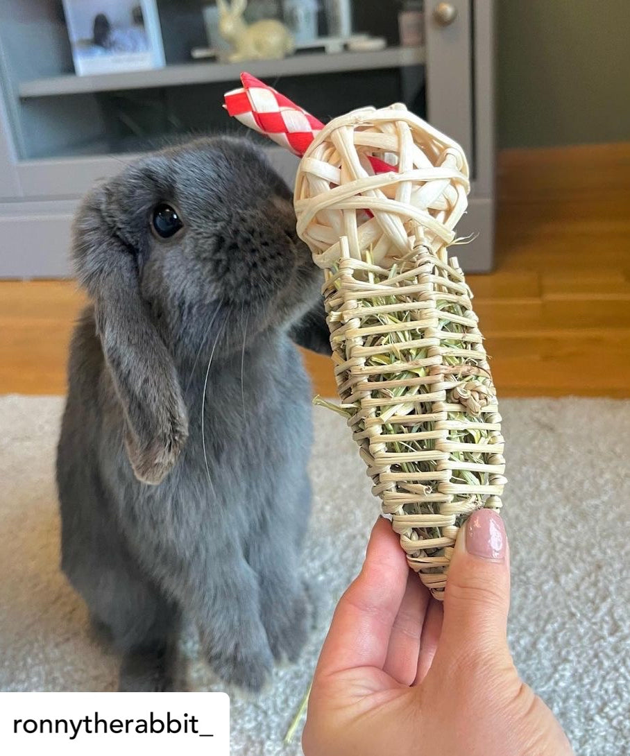 Bun Ice Cream Chew Toy