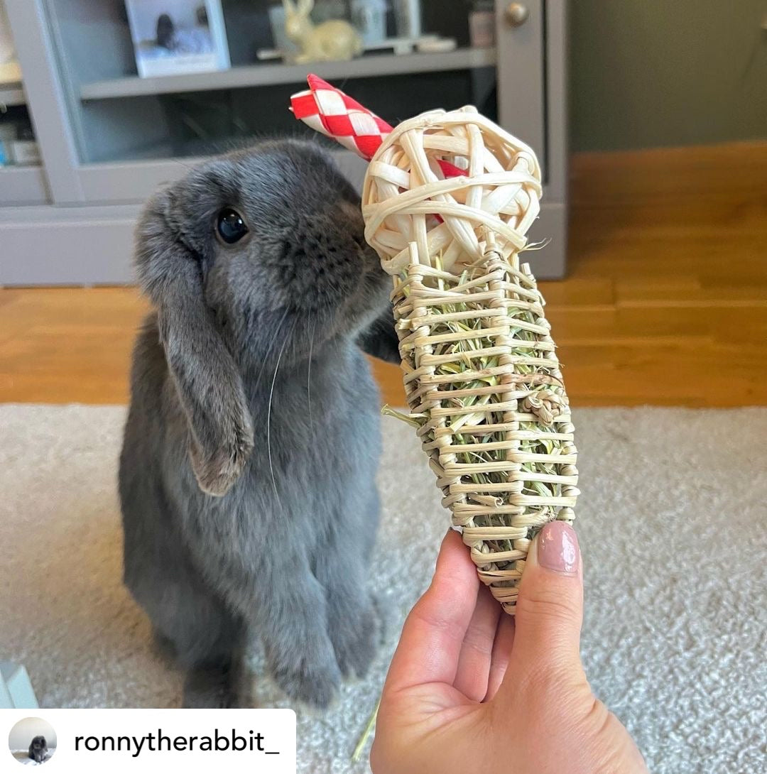 Bun Ice Cream Chew Toy