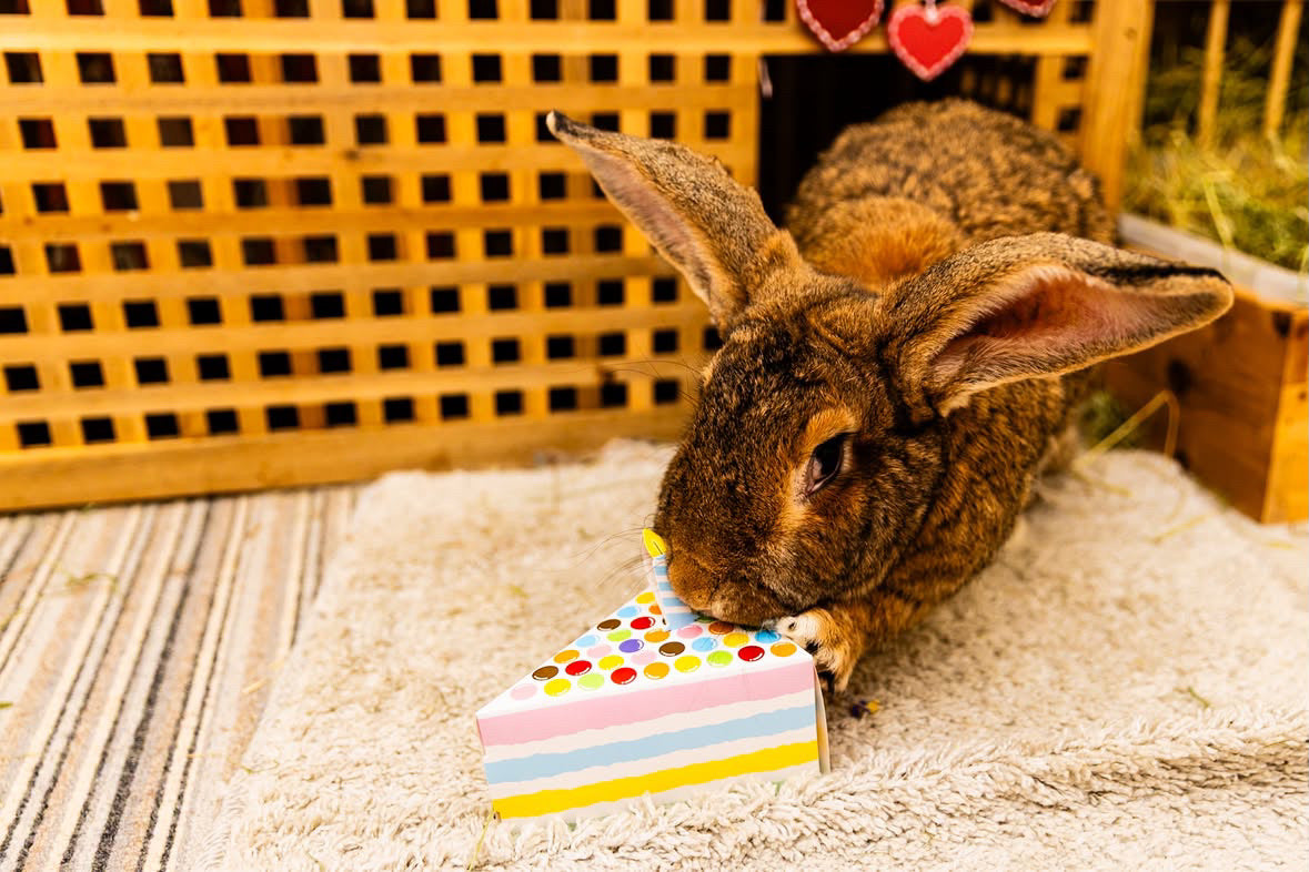 Happy Birthday Cake Slice