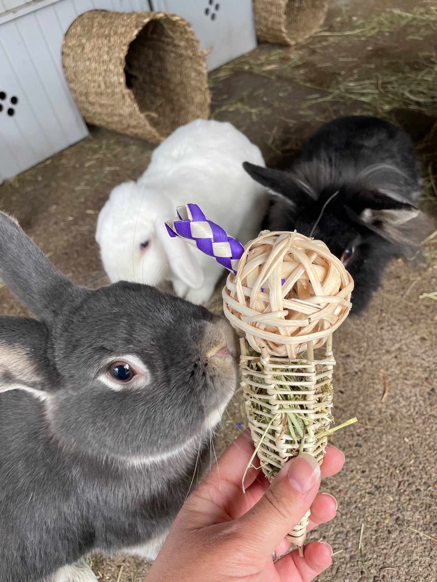 Bun Ice Cream Chew Toy