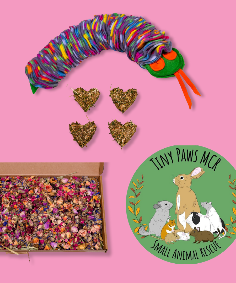 Teddy's Bakery Raffle Ticket