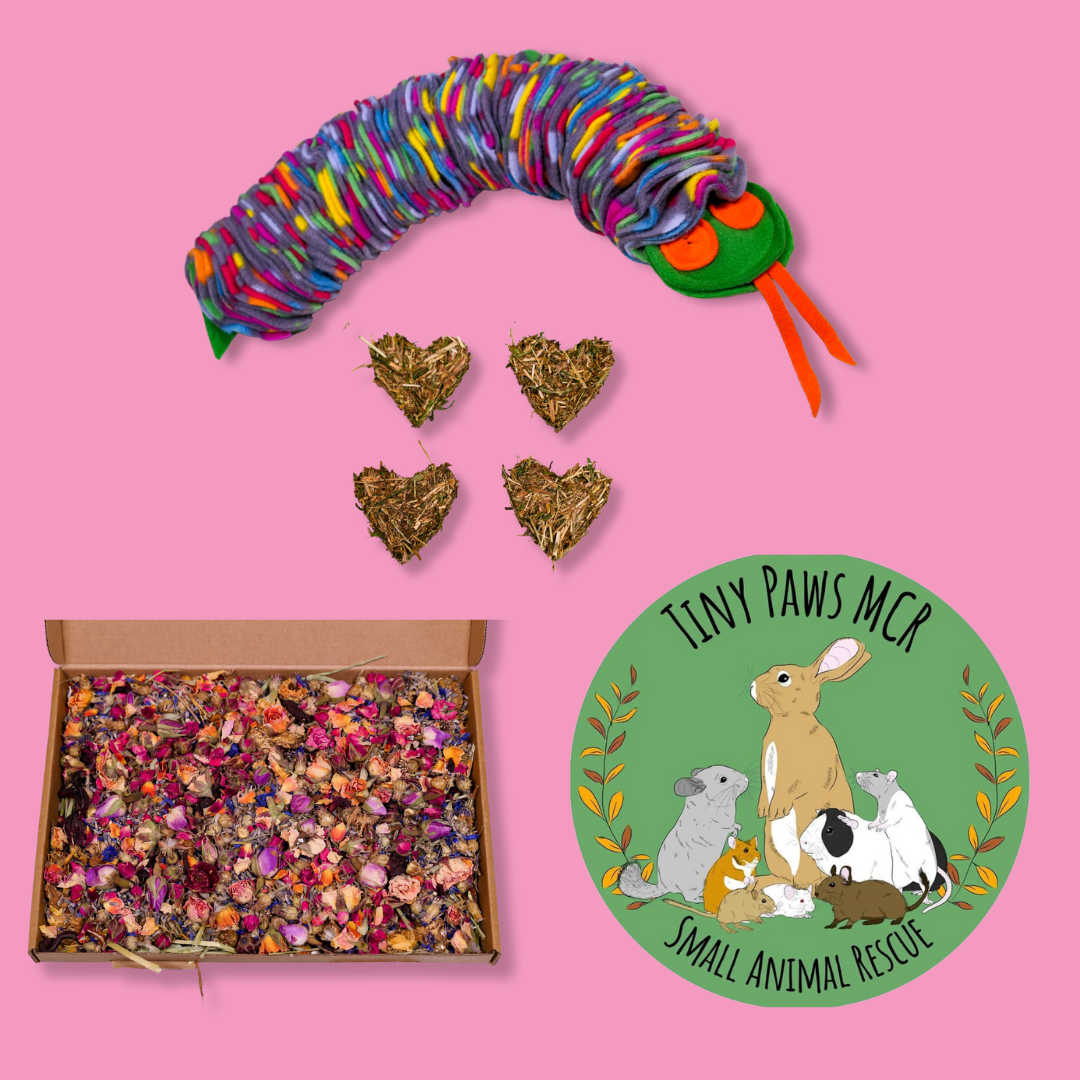 Teddy's Bakery Raffle Ticket