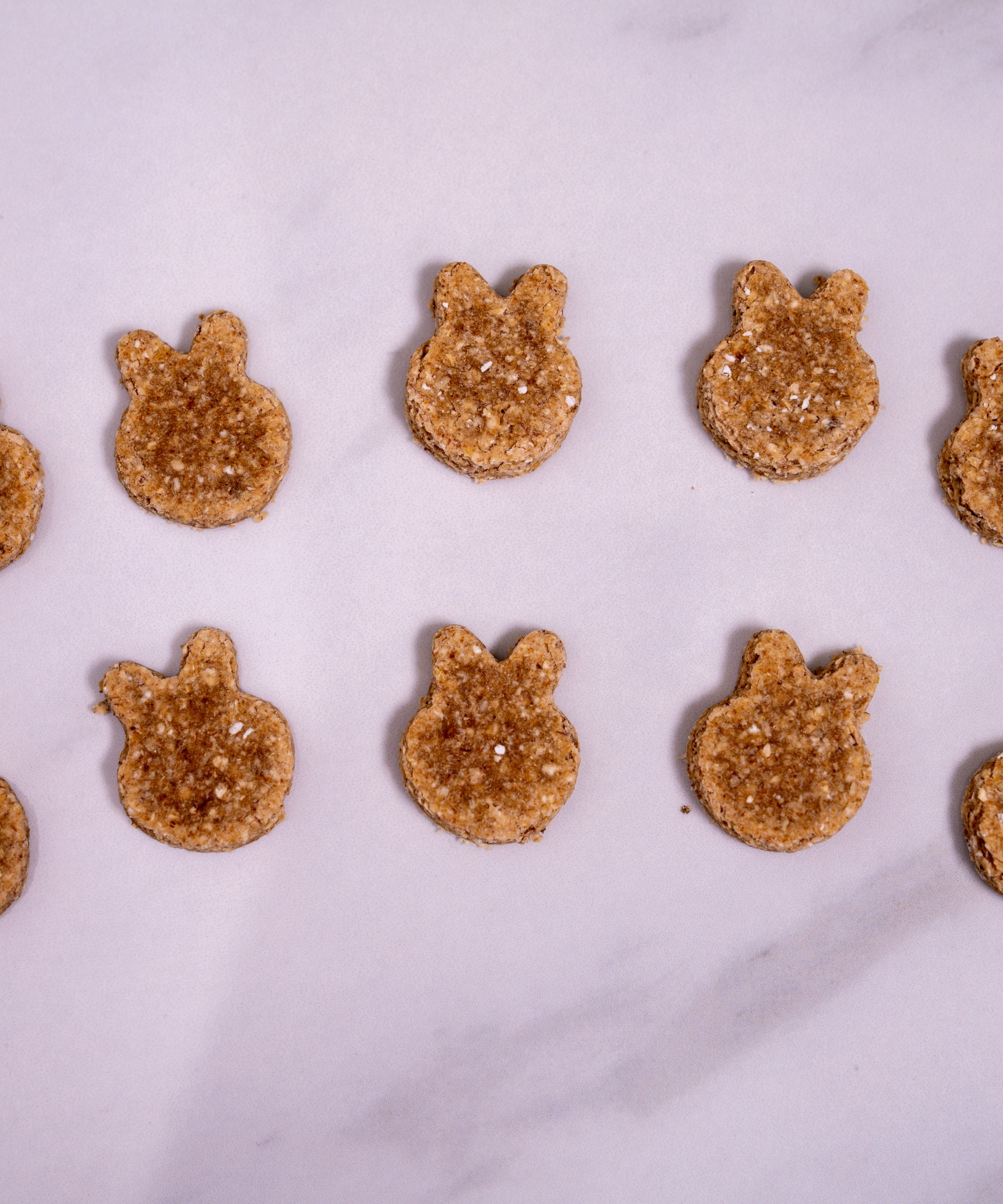 Dandelion Mini Buns