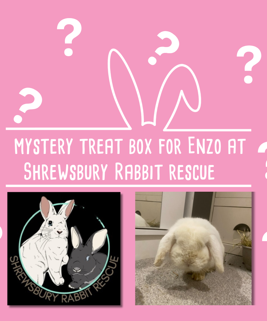 Mystery Treat Box for Enzo at Shrewsbury Rabbit Rescue