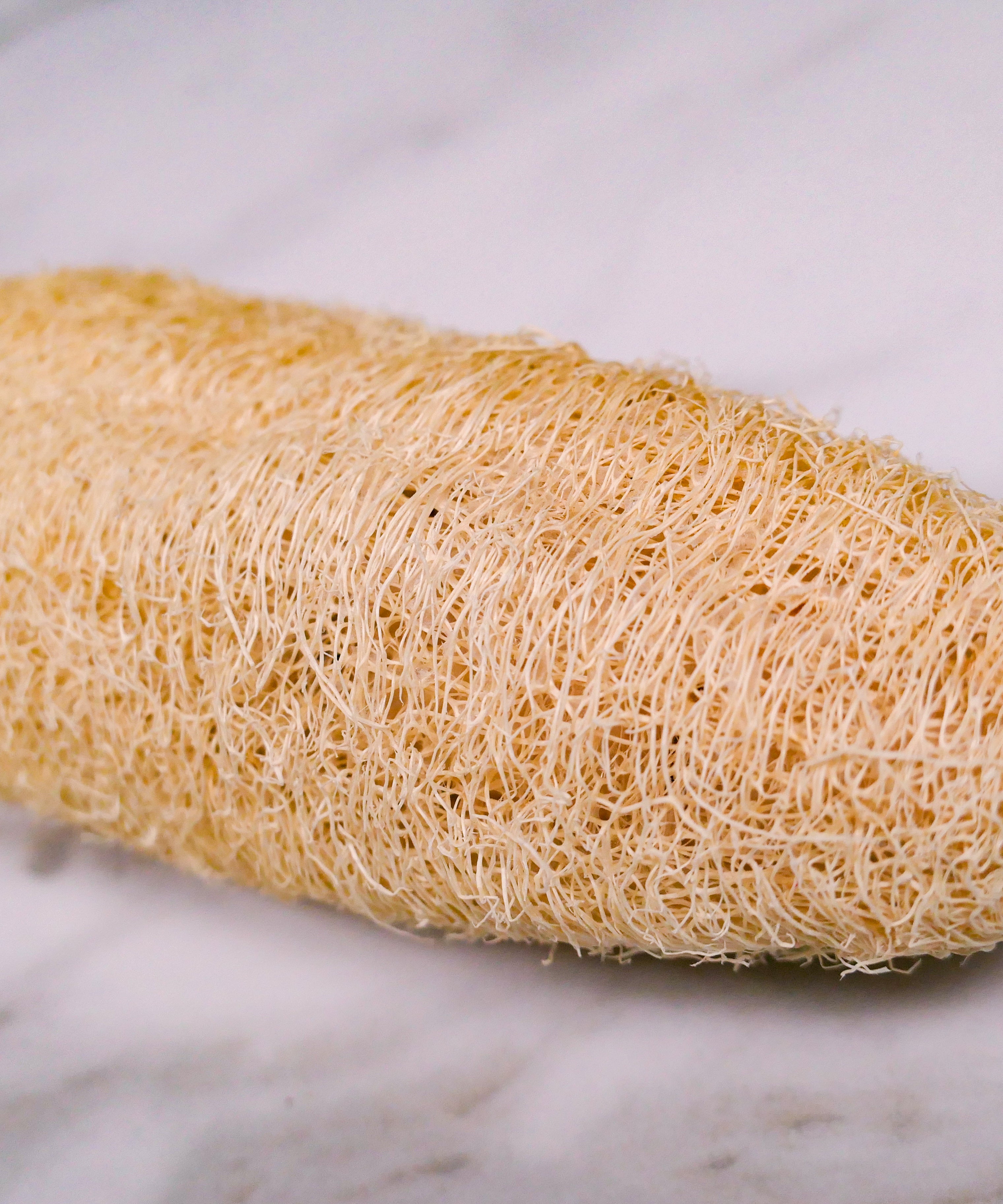Large natural loofah chew