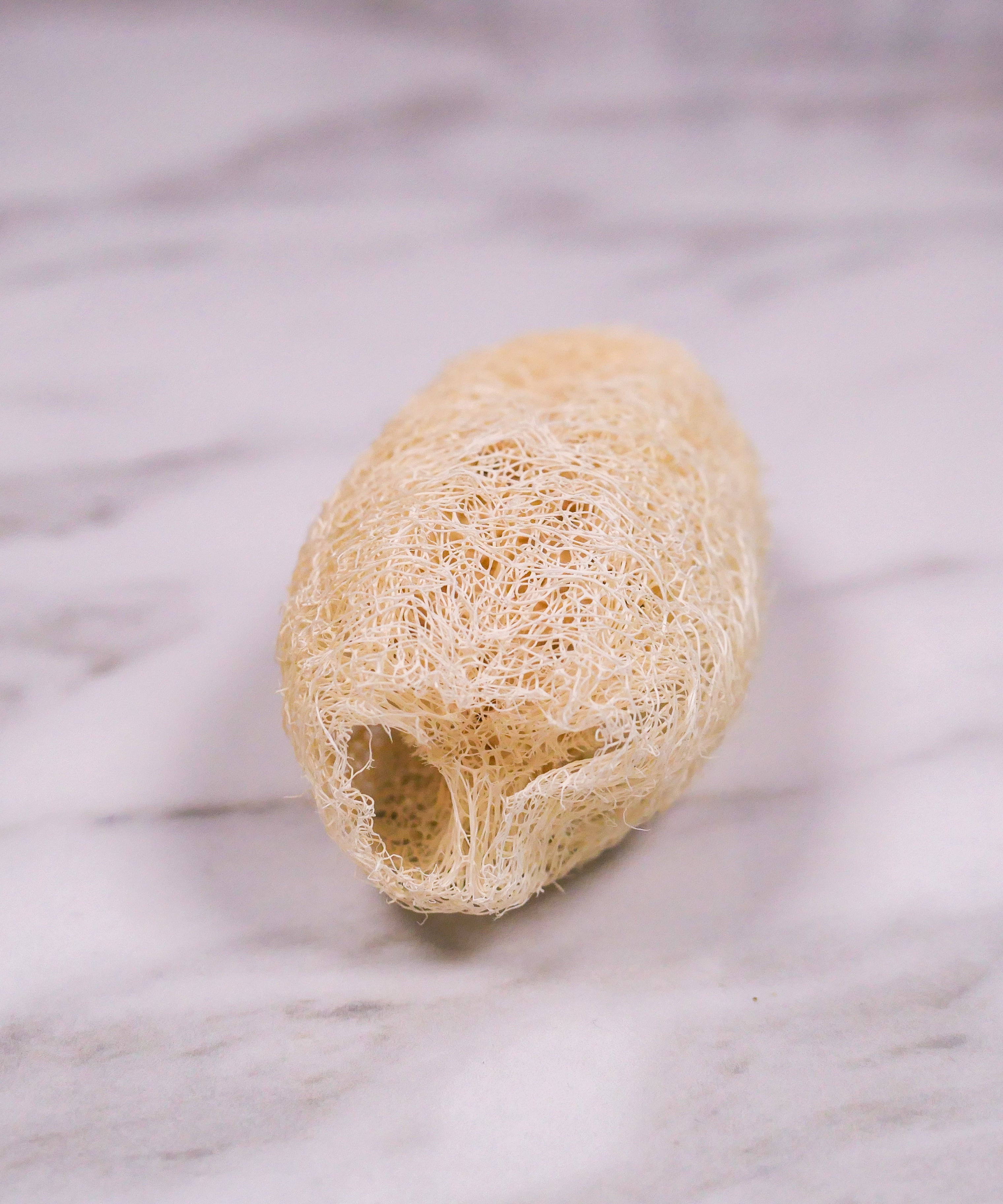 Mini natural loofah chew