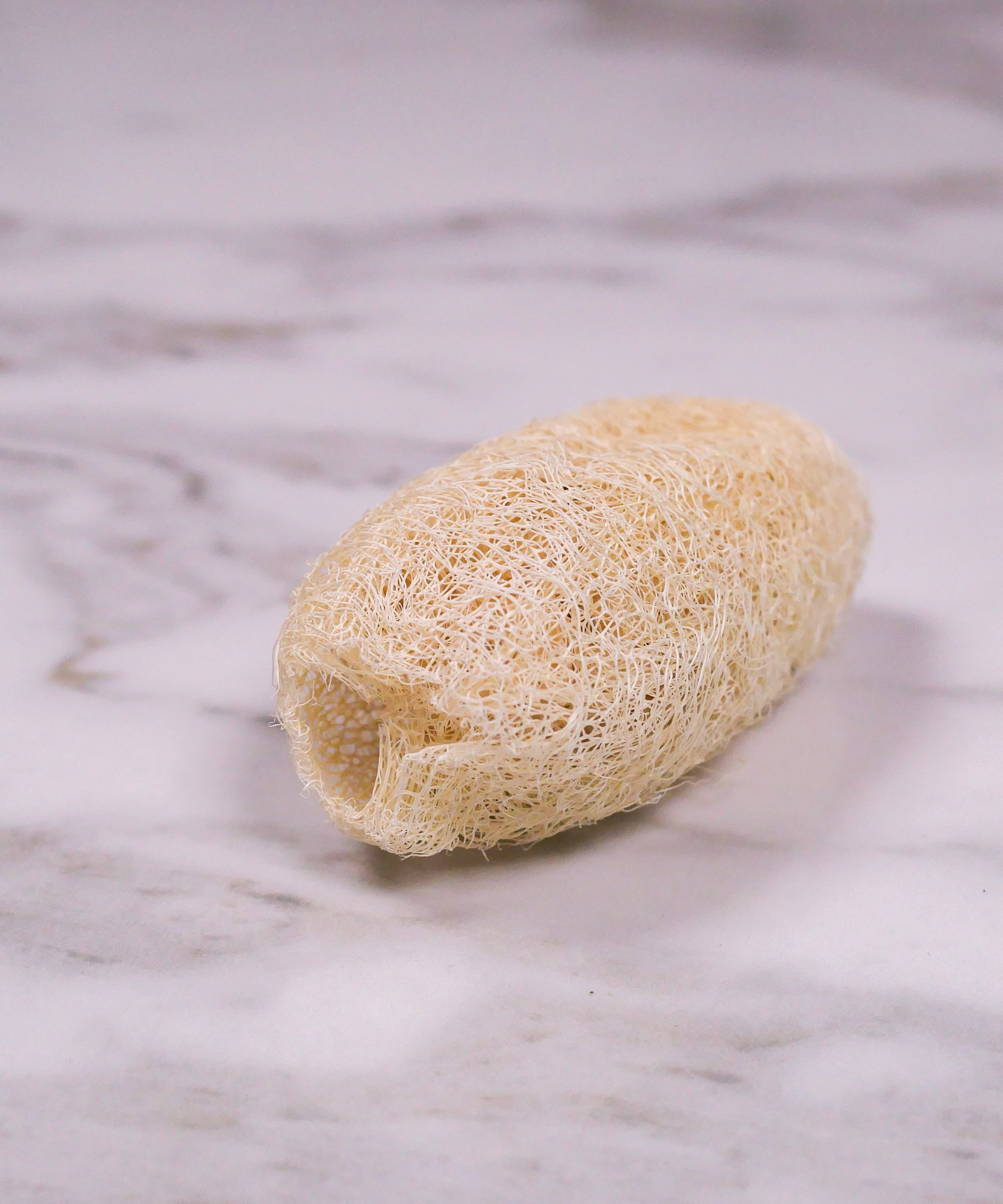 Mini natural loofah chew