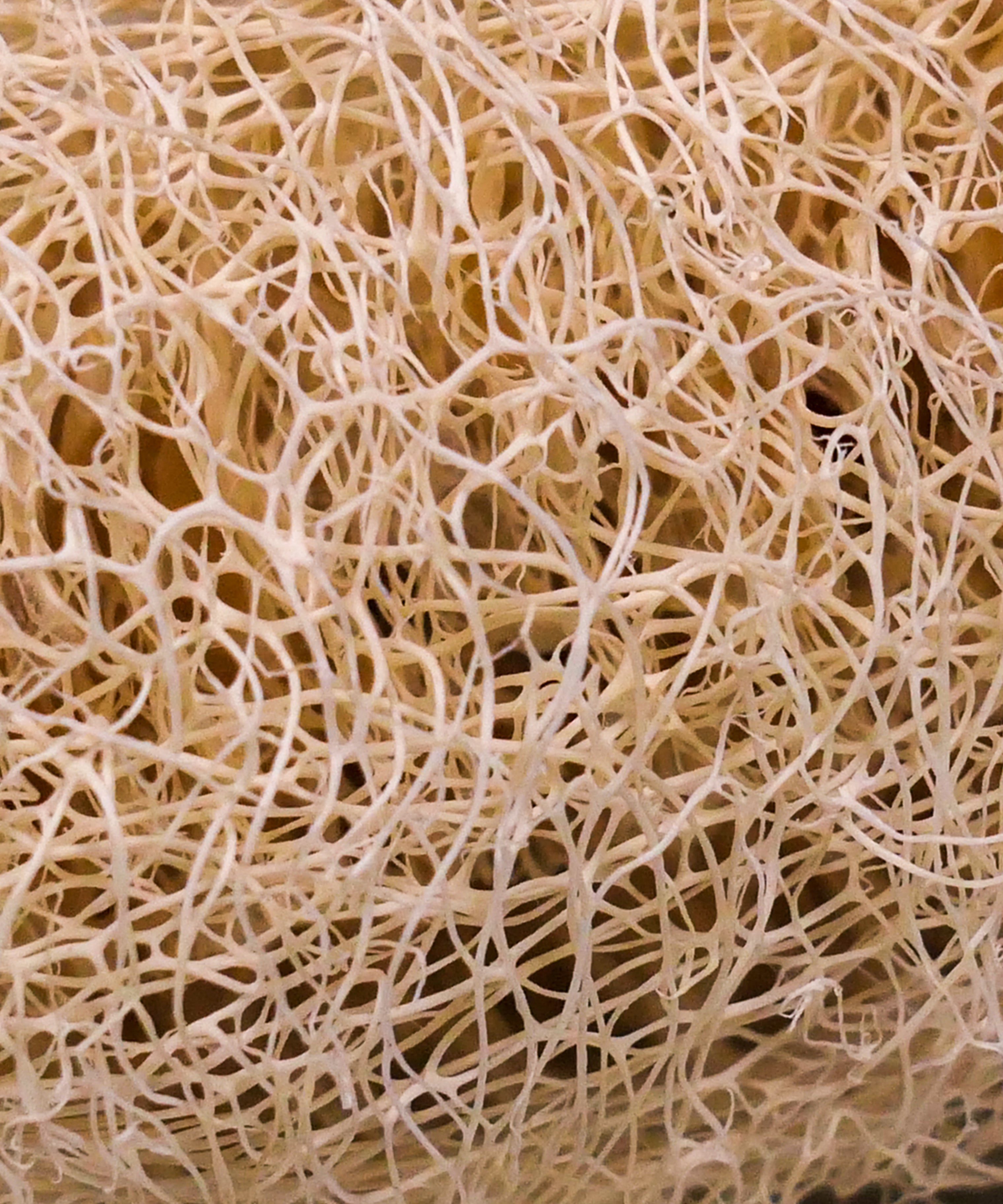 Mini natural loofah chew