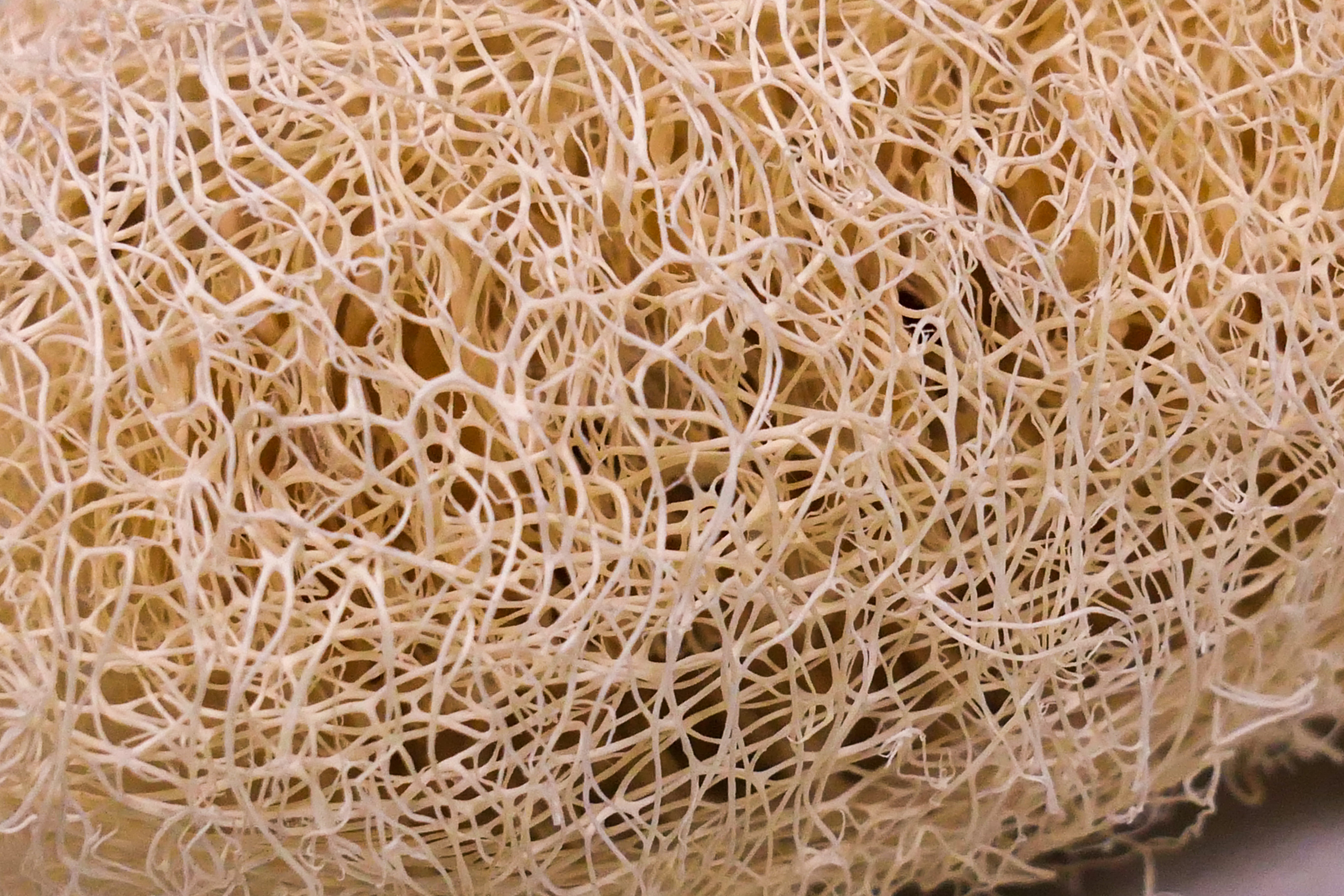 Mini natural loofah chew