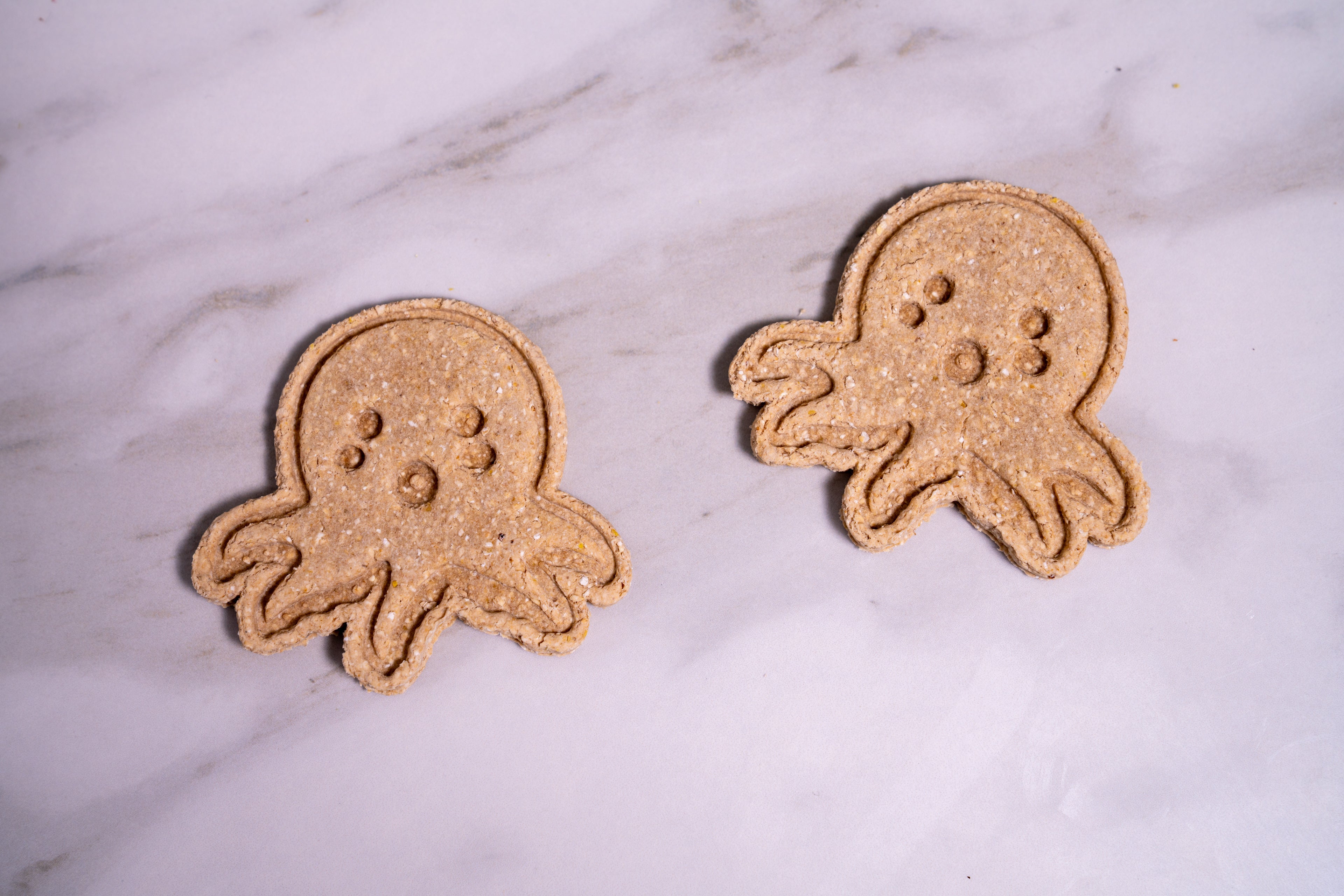 Octopus Cookies