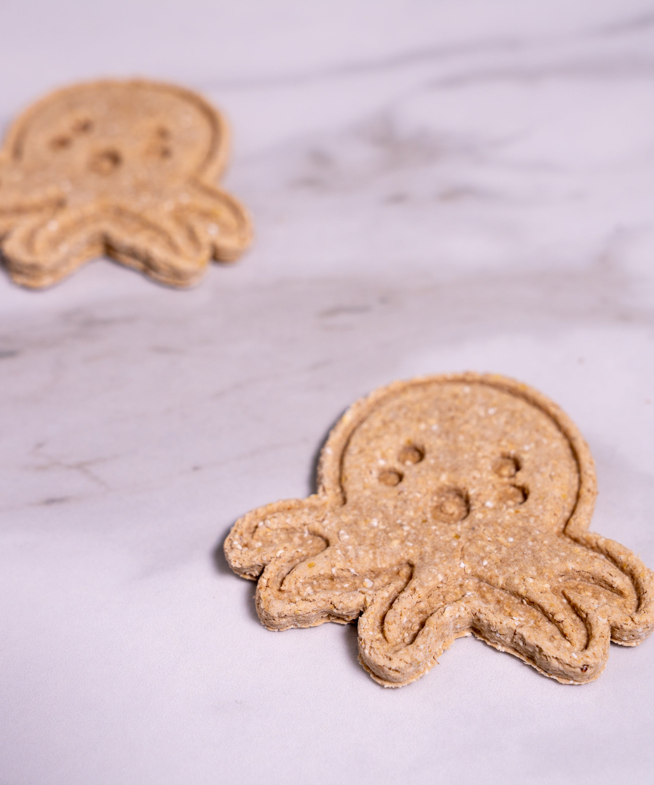 Octopus Cookies