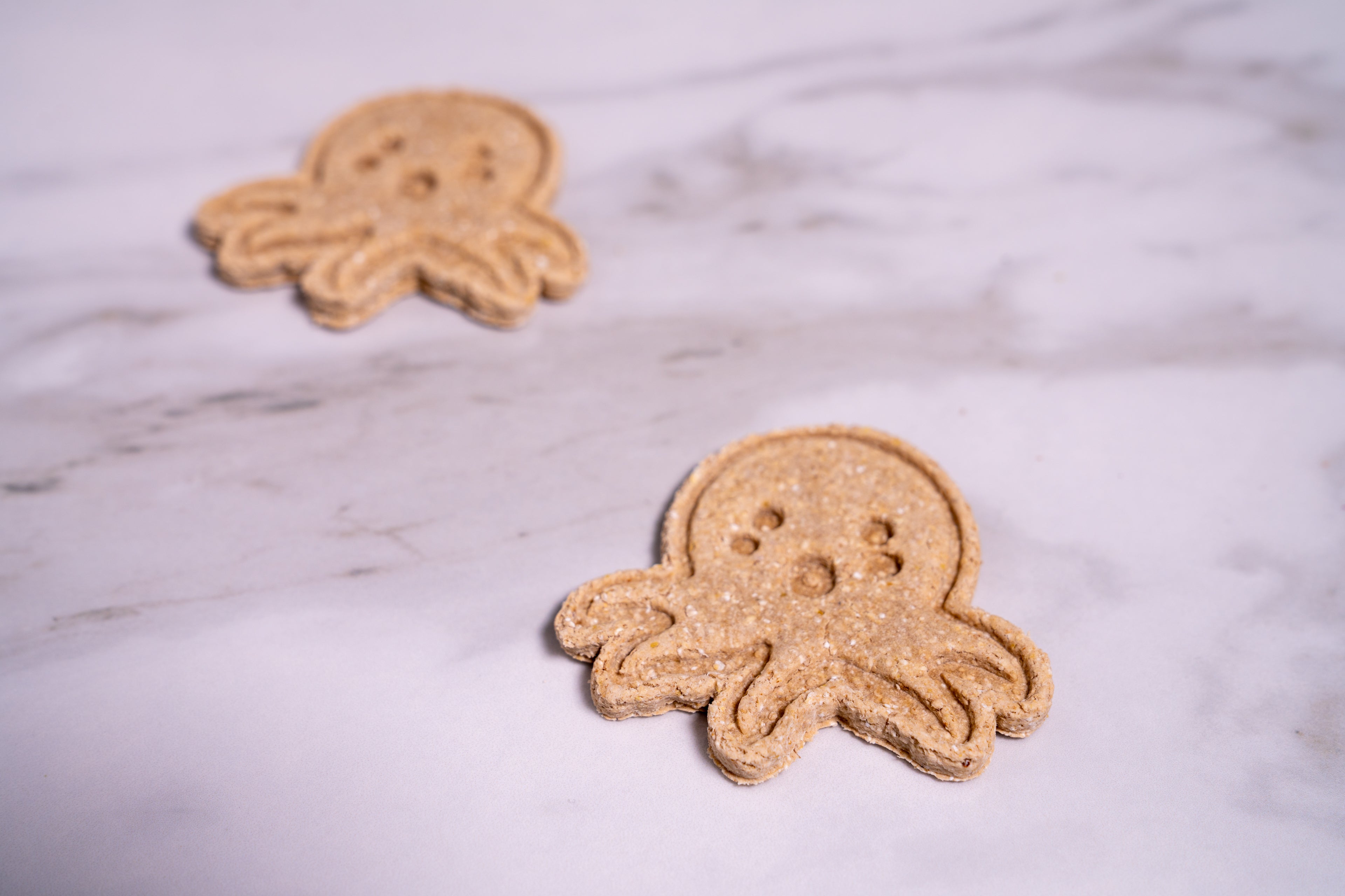 Octopus Cookies