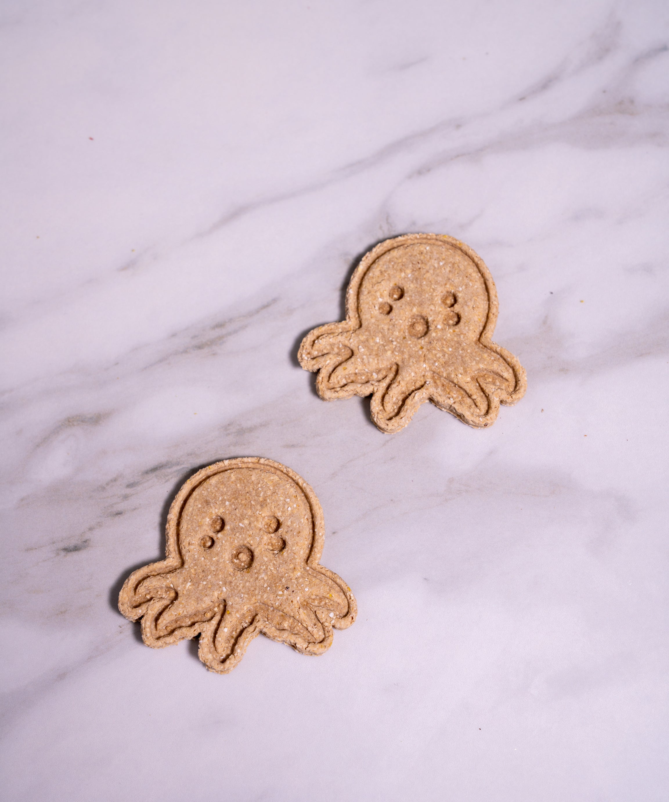 Octopus Cookies