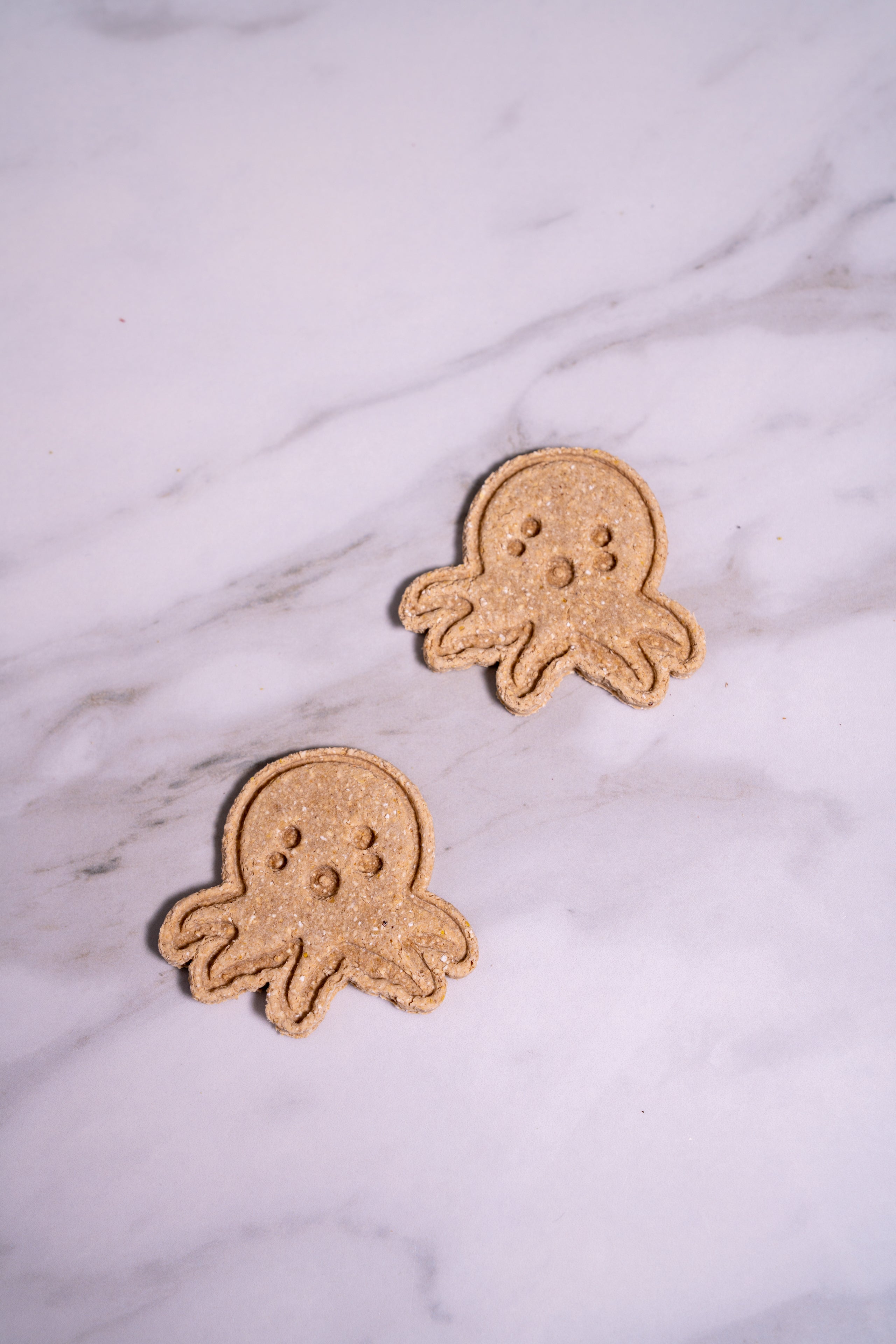 Octopus Cookies