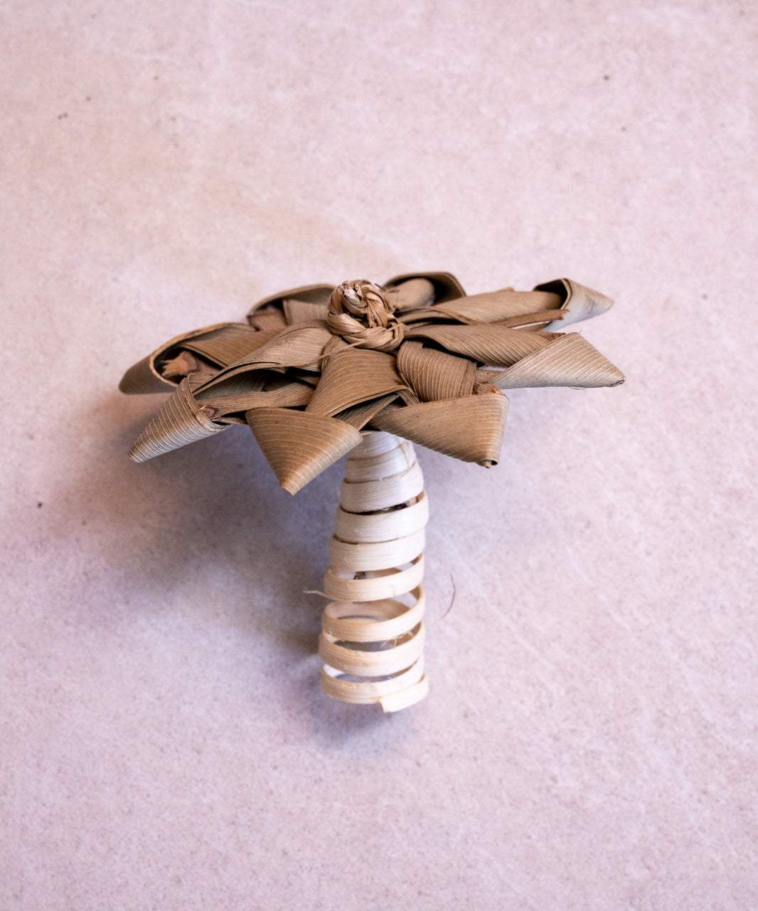 Palm Tree Toy