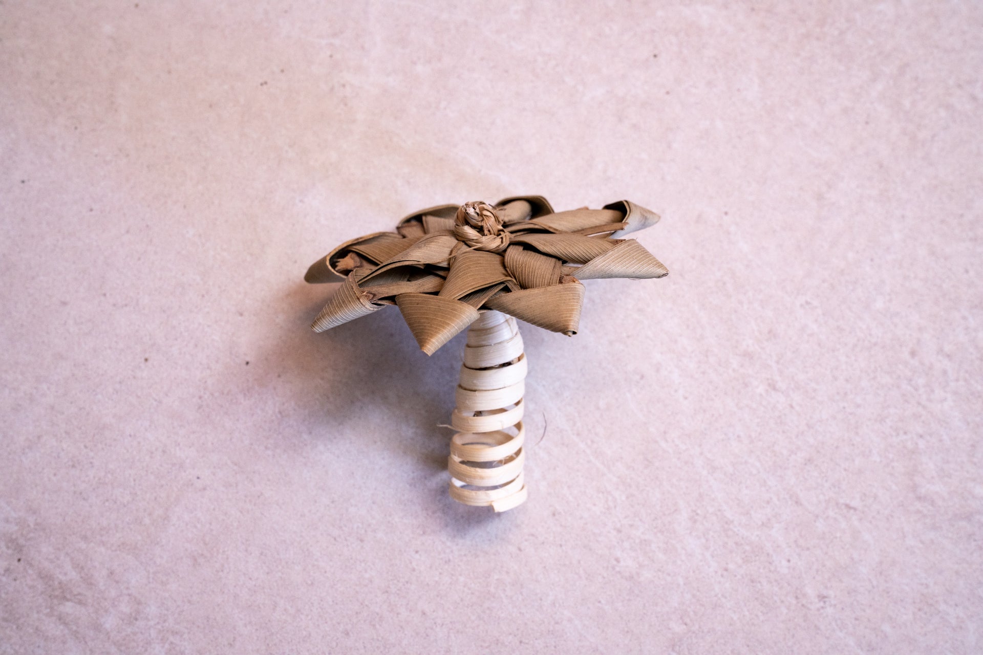 Palm Tree Toy