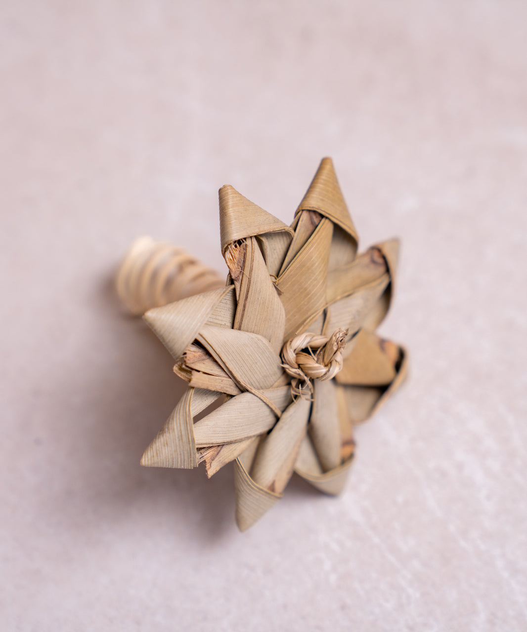 Palm Tree Toy