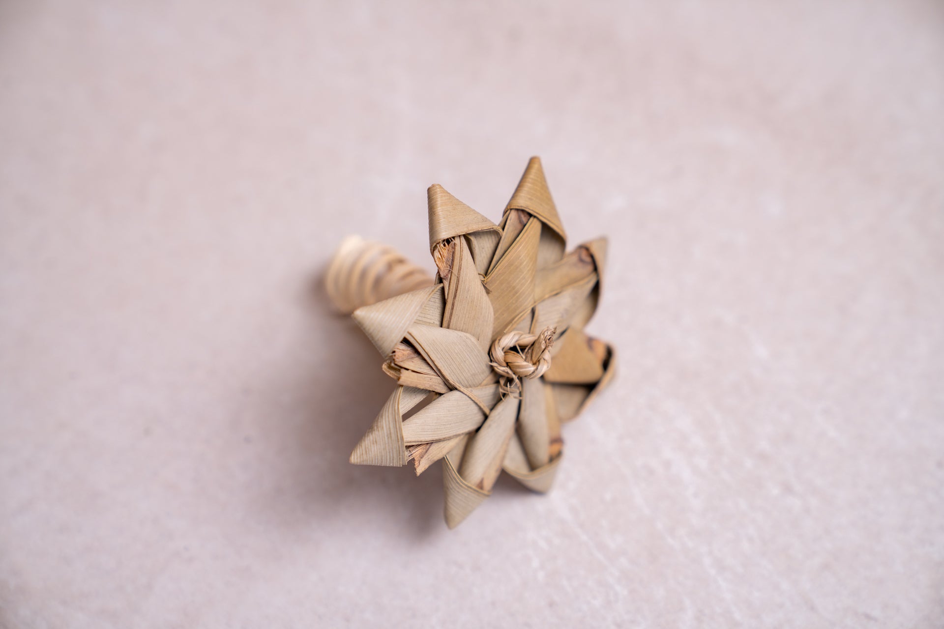 Palm Tree Toy