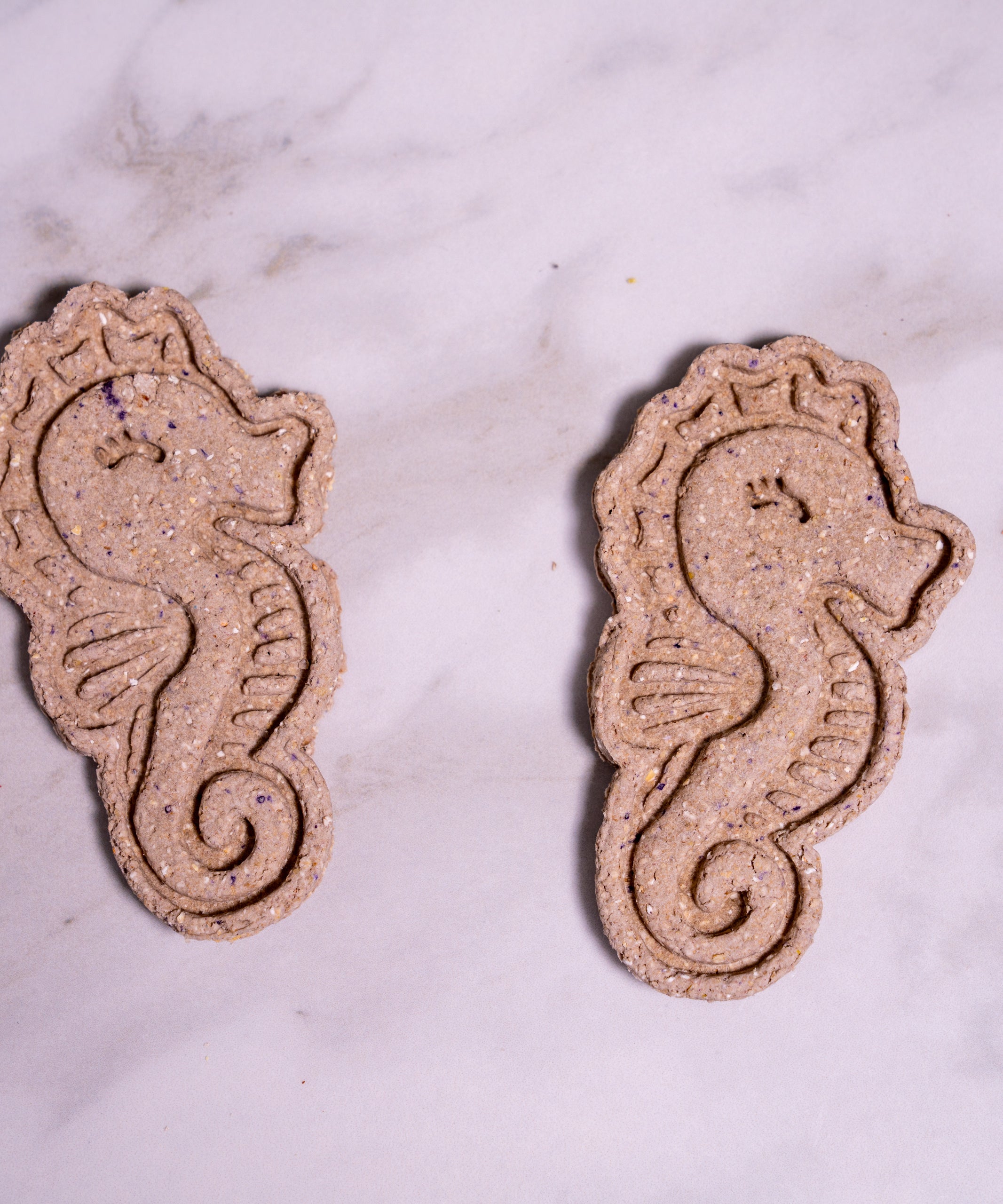 Seahorse Cookies