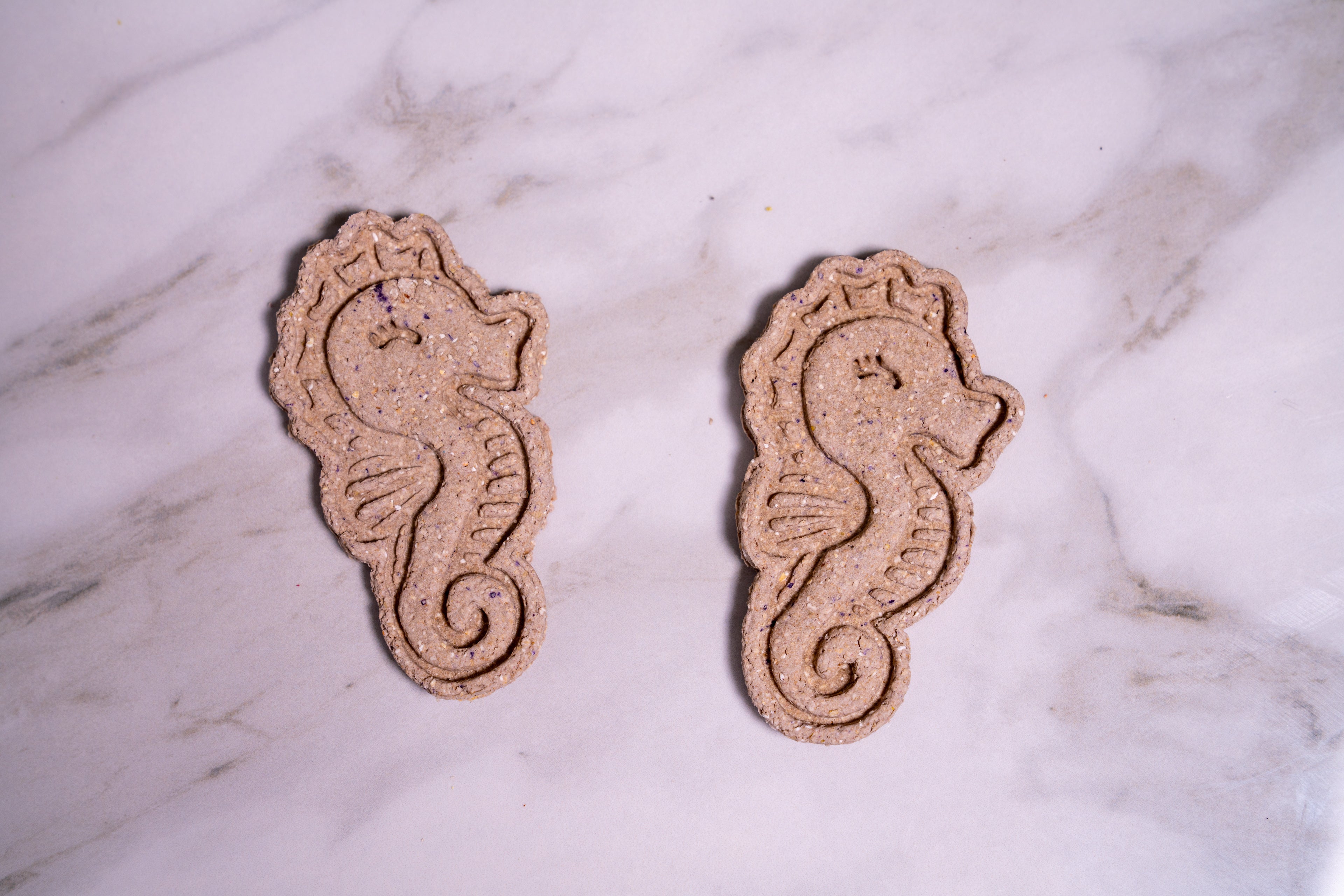 Seahorse Cookies
