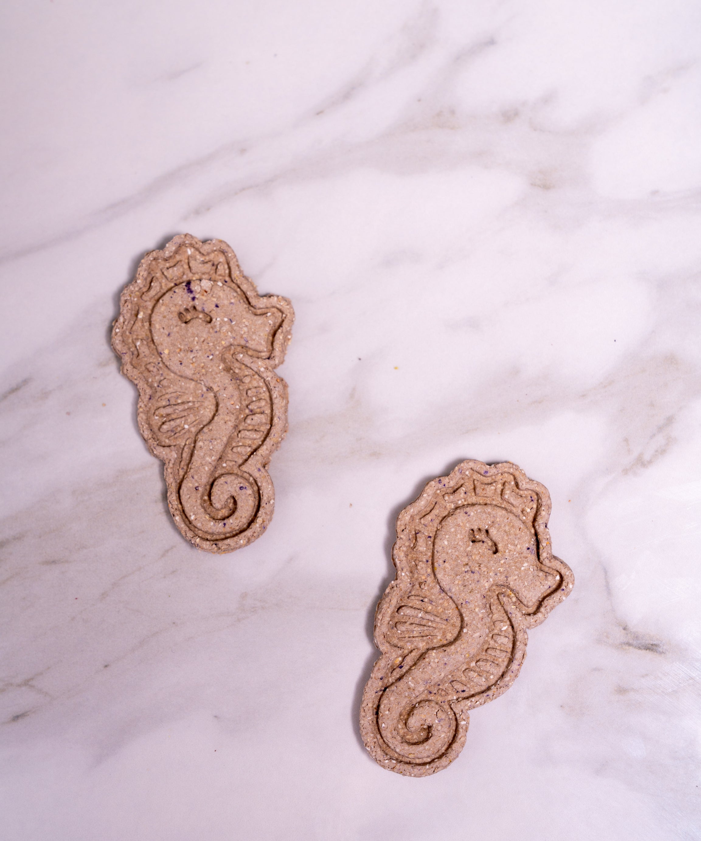 Seahorse Cookies
