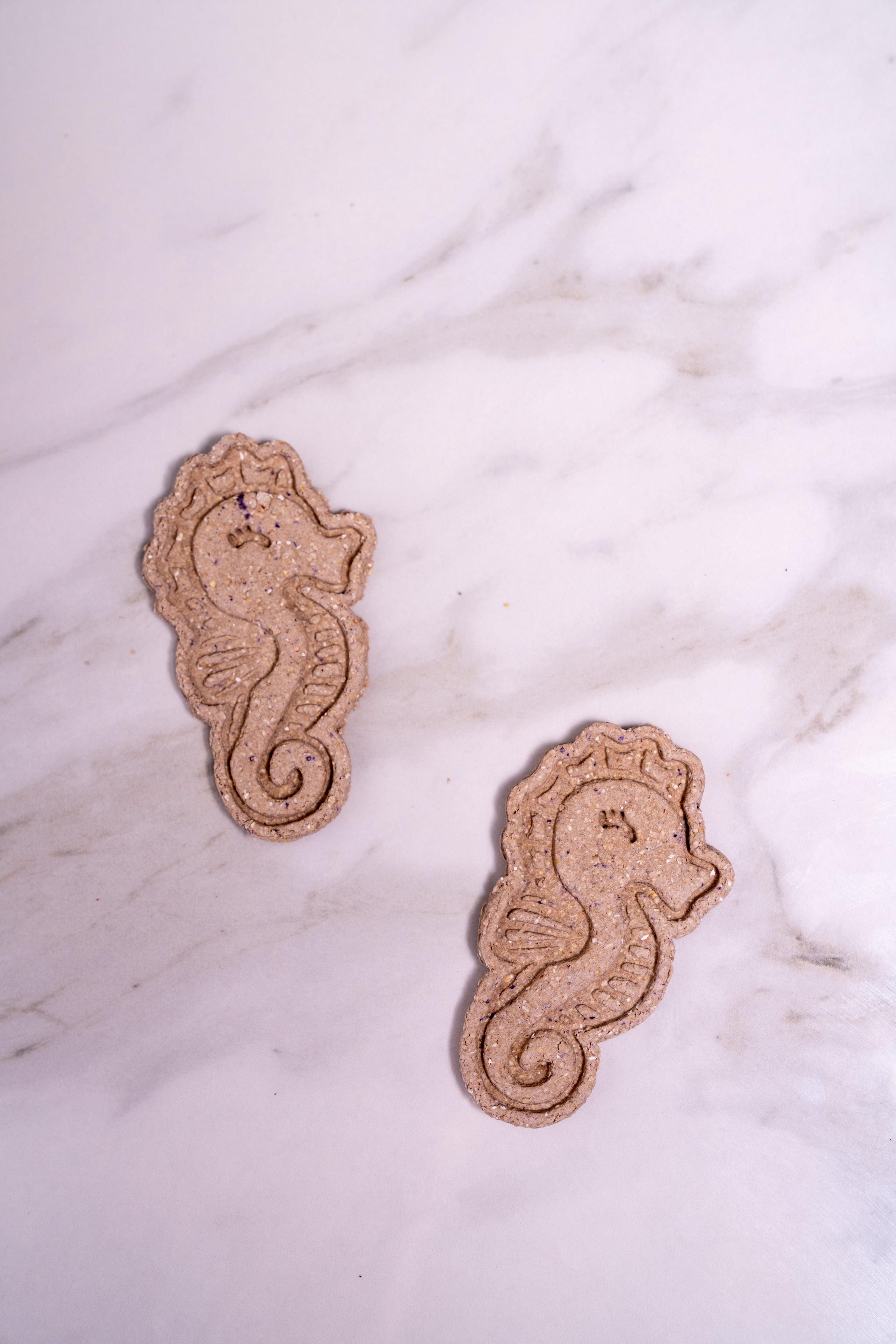 Seahorse Cookies