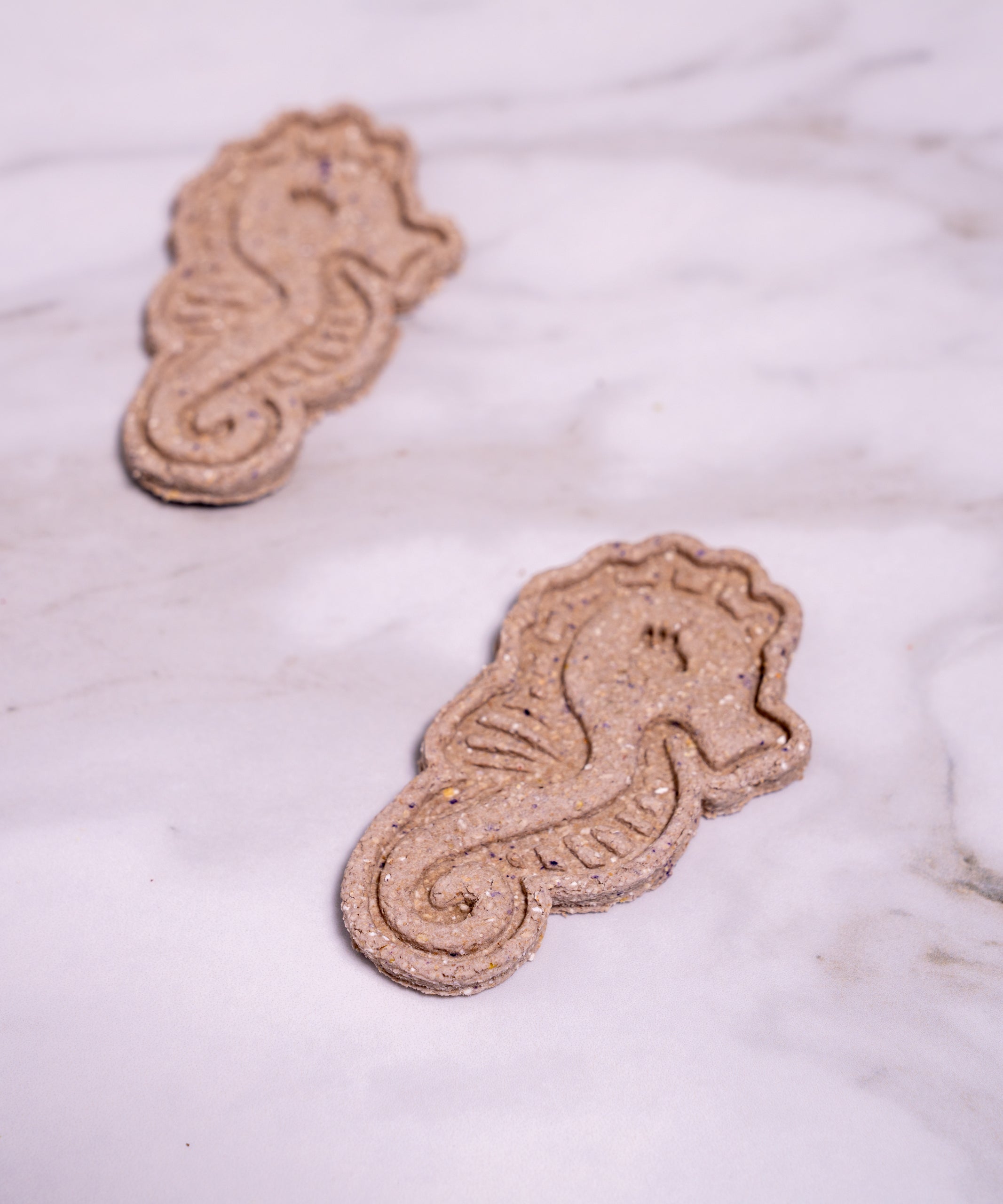 Seahorse Cookies