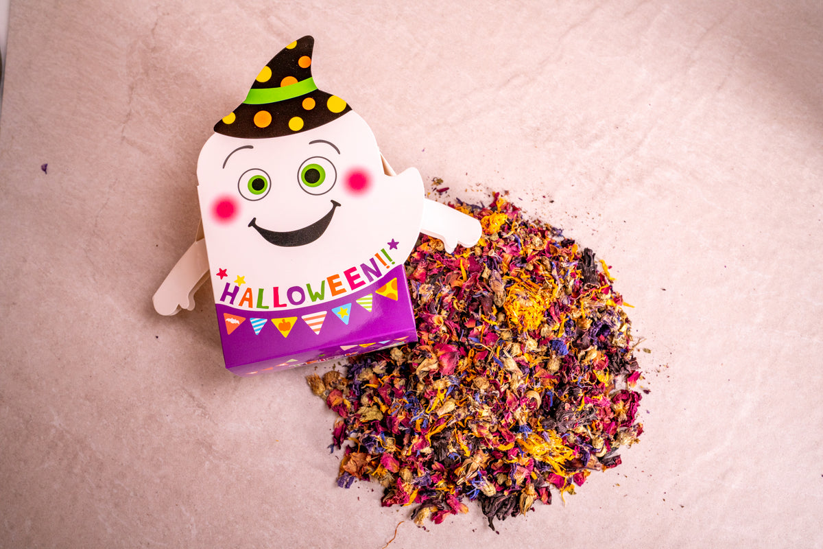 Halloween Spooky boxes