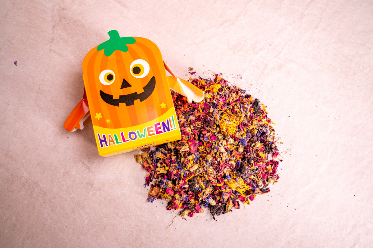Halloween Spooky boxes