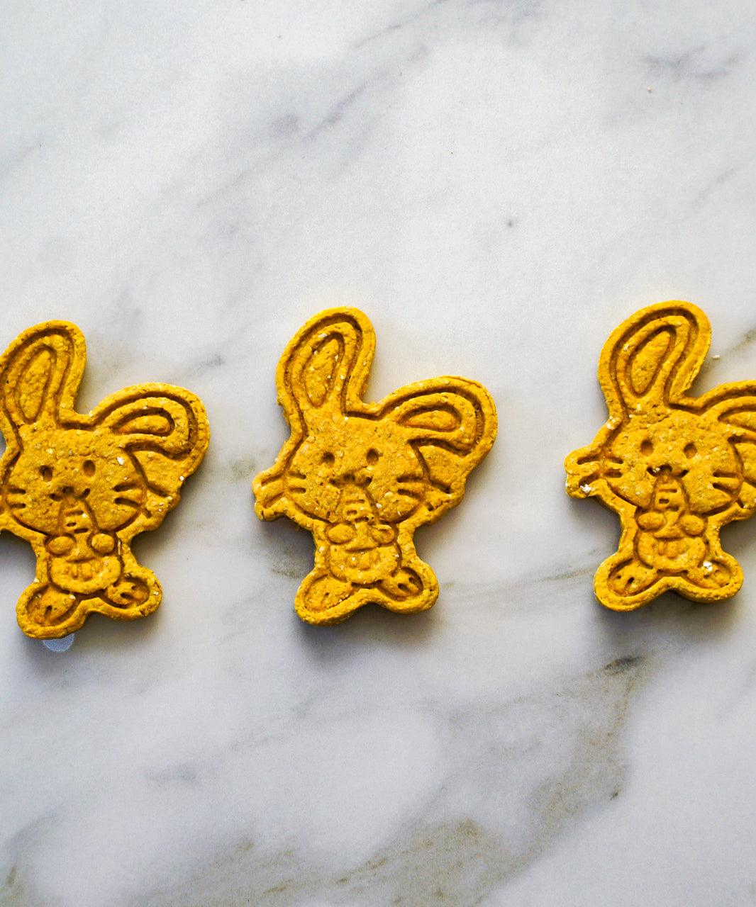 Carrot Bunnies