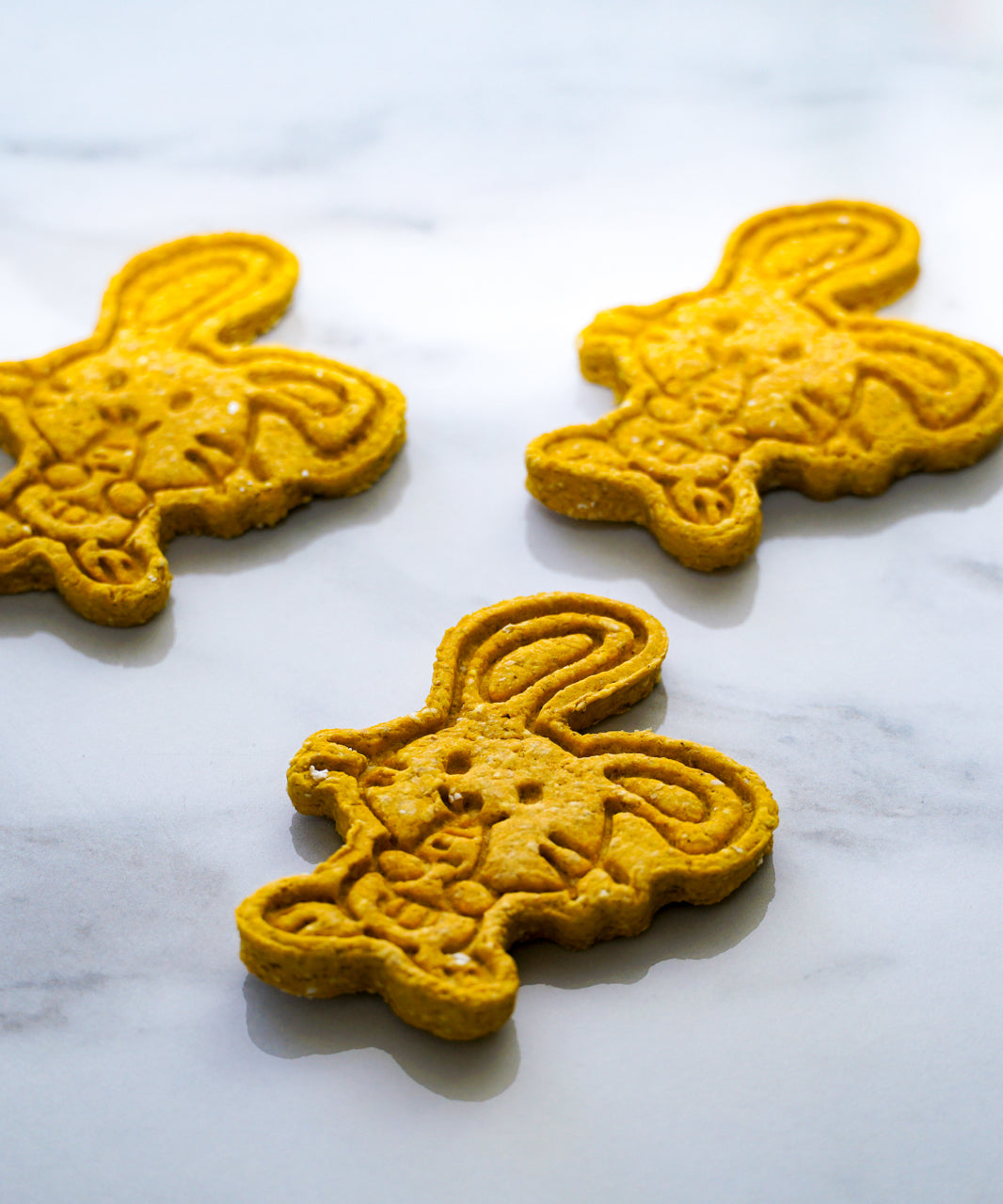 Carrot Bunnies