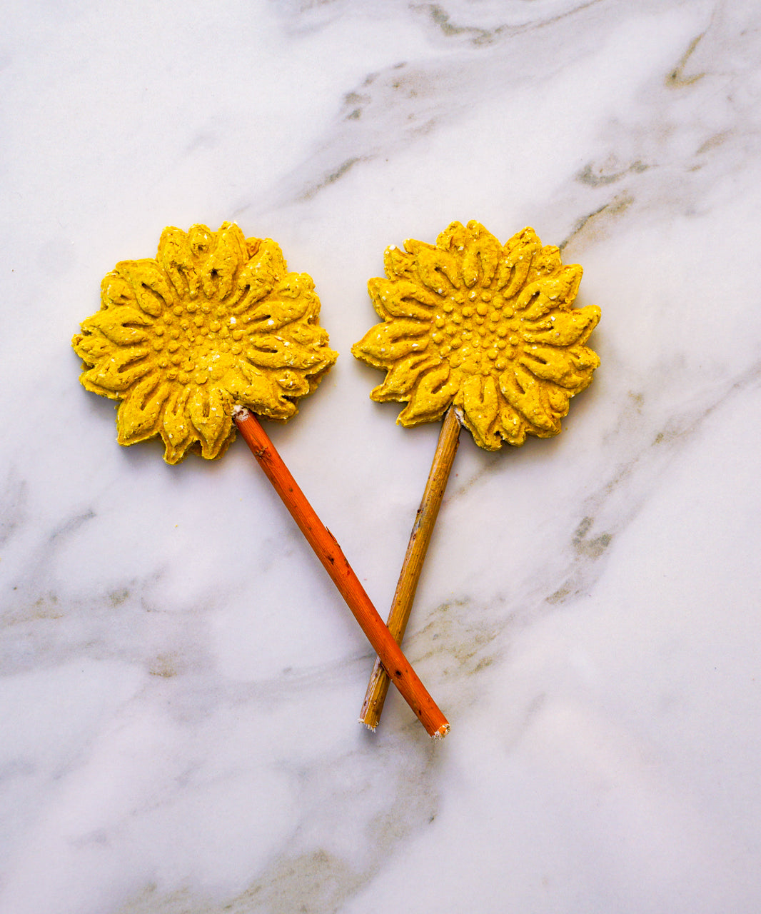 Sunflower Pops
