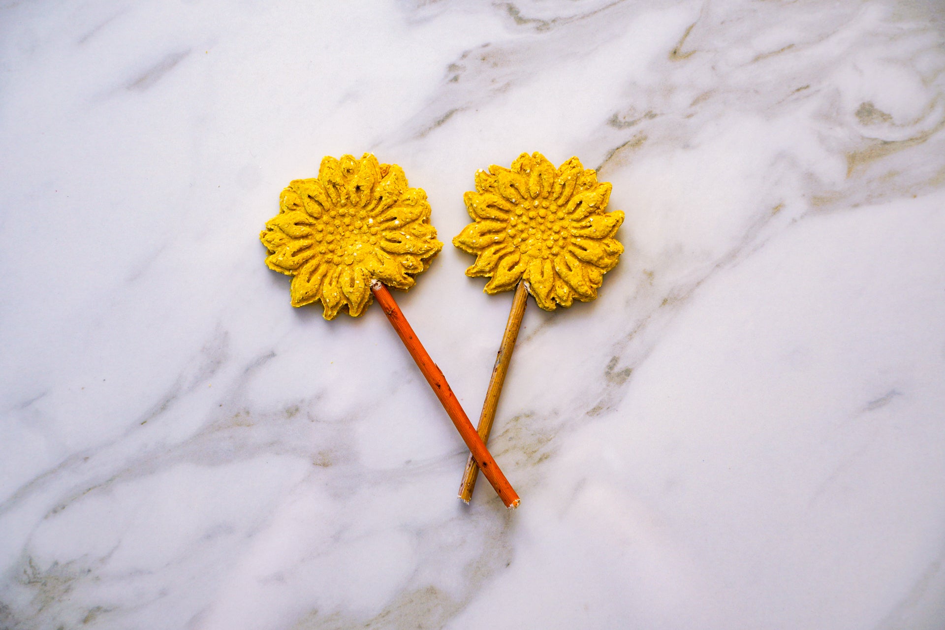 Sunflower Pops