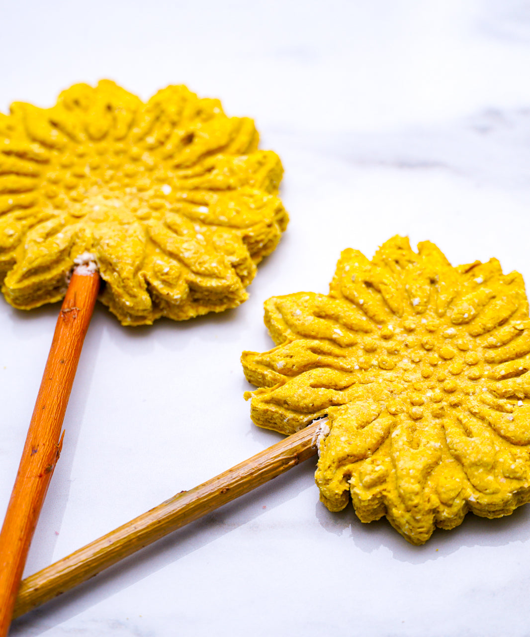 Sunflower Pops
