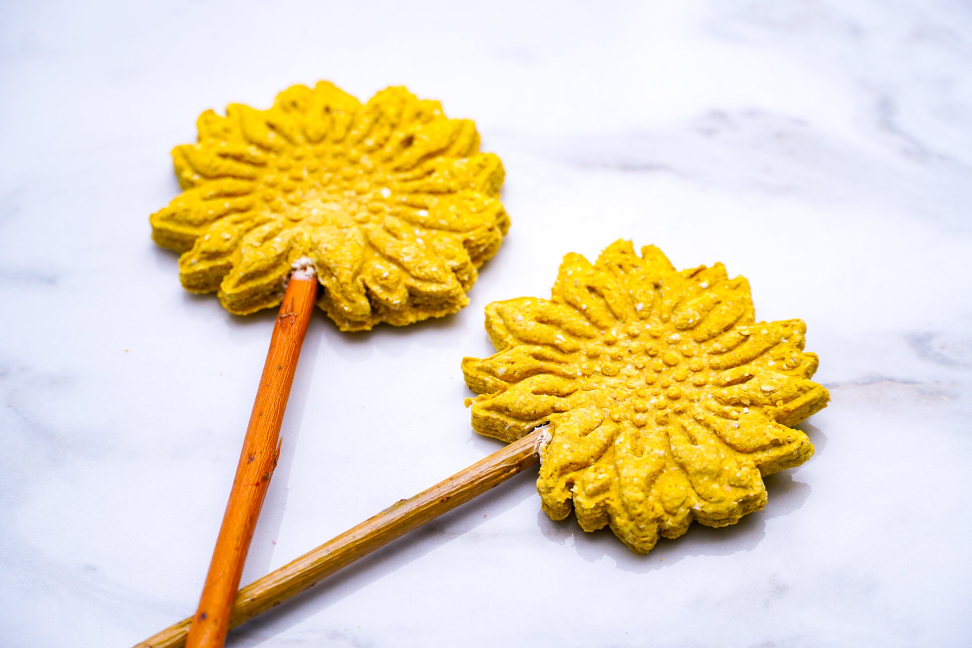 Sunflower Pops