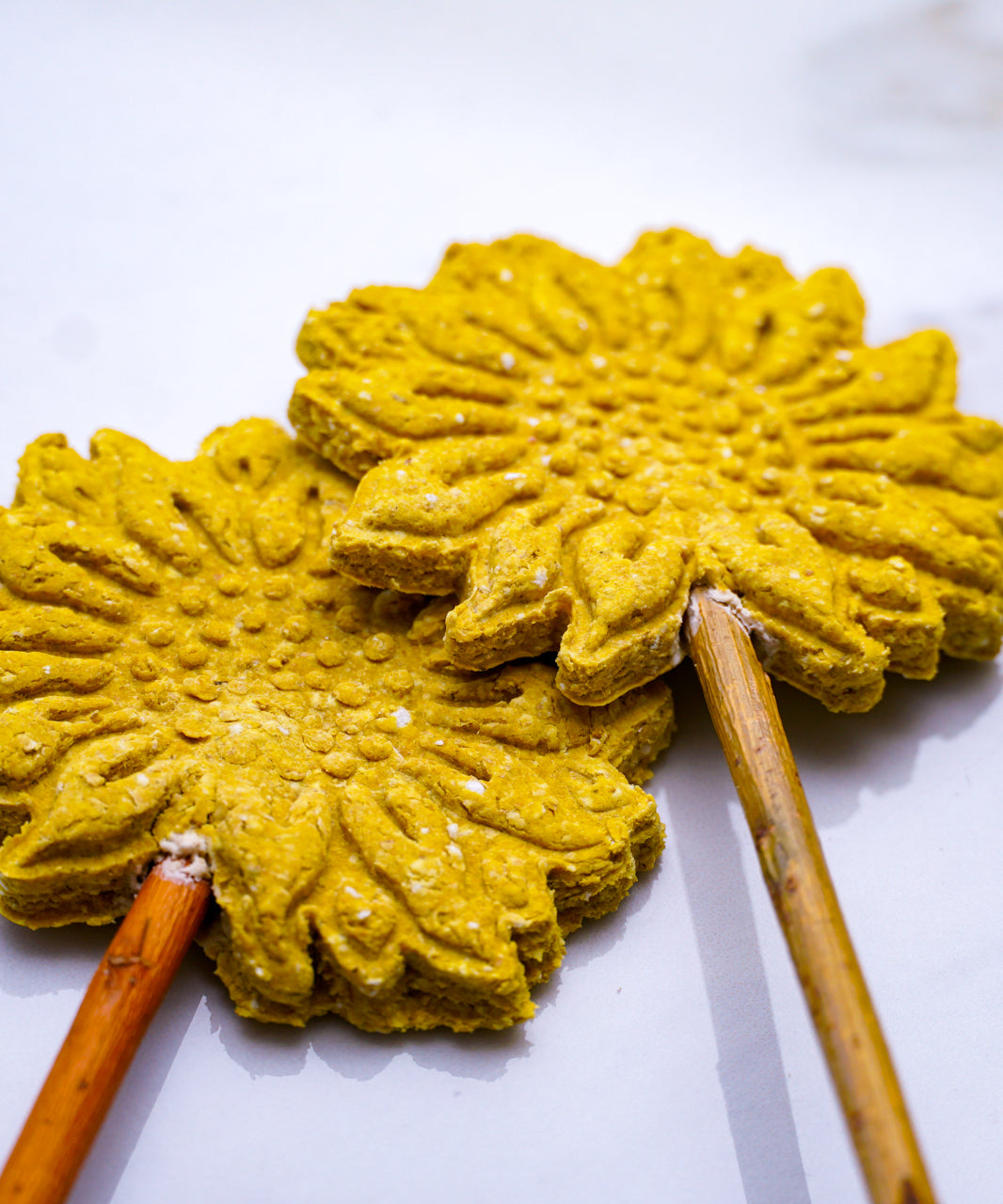 Sunflower Pops