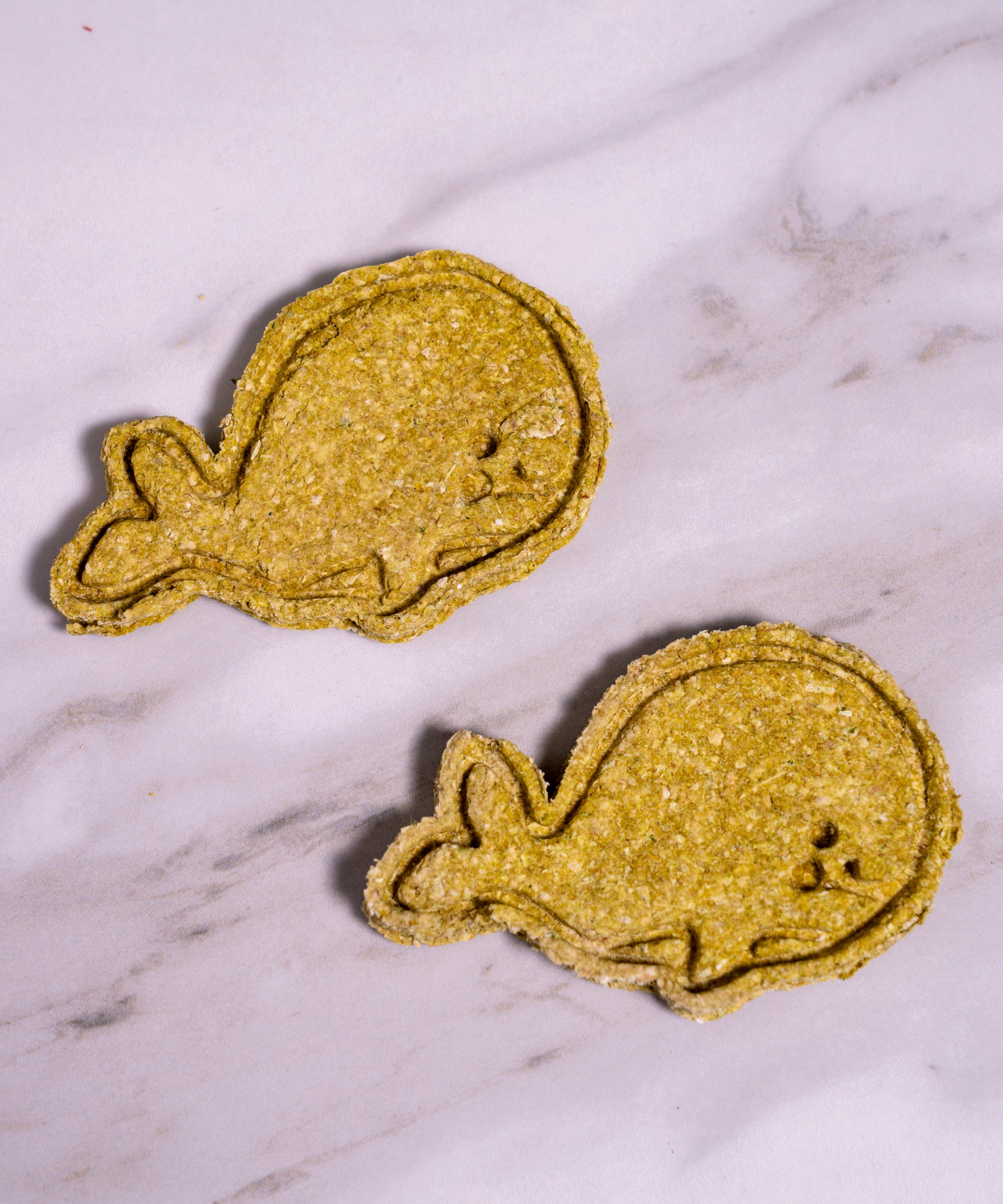 Whale Cookies