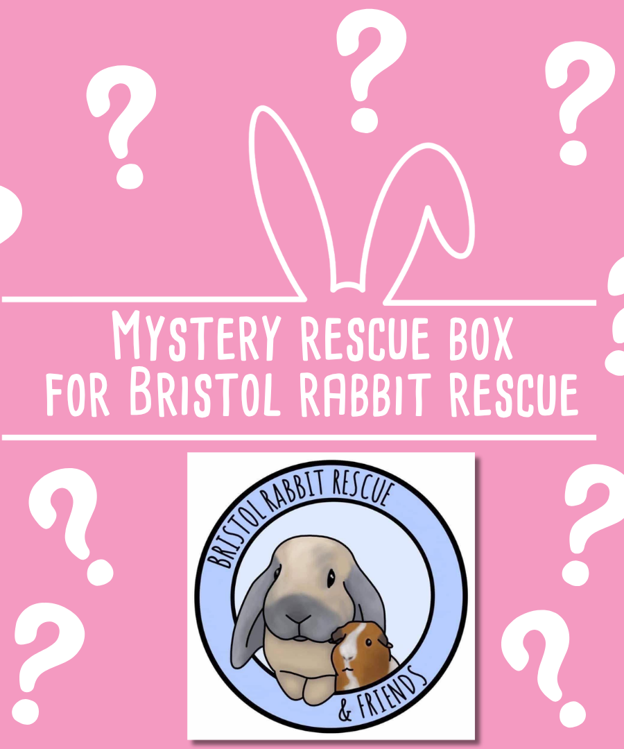 Mystery Rescue Box for Bristol Rabbit Rescue & Friends