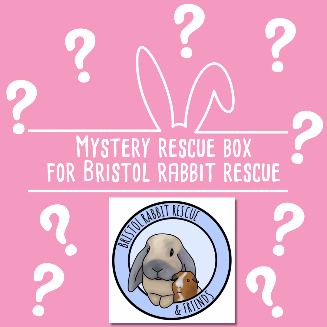 Mystery Rescue Box for Bristol Rabbit Rescue & Friends