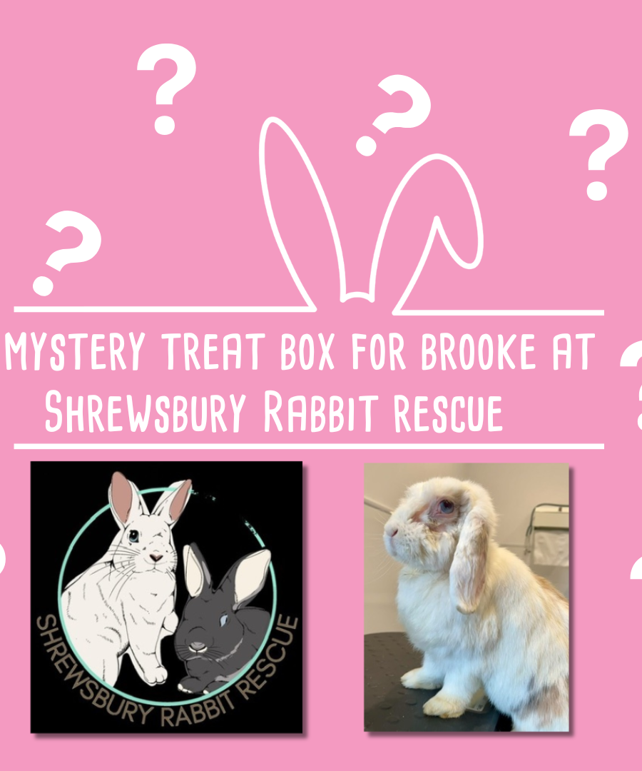 Mystery Treat Box for Brooke at Shrewsbury Rabbit Rescue