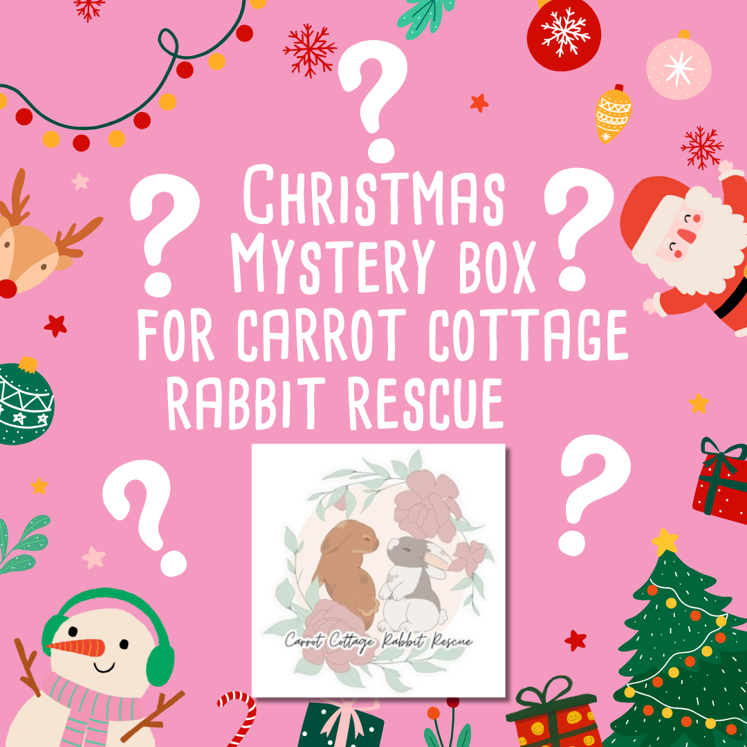 Mystery Christmas Box for Carrot Cottage Rabbit Rescue