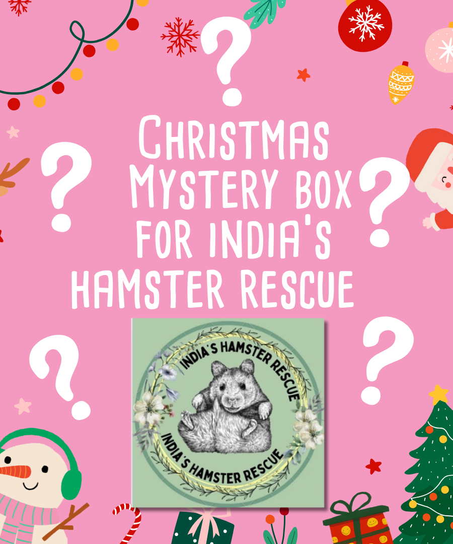 Mystery Christmas  Box for India's Hamster Rescue