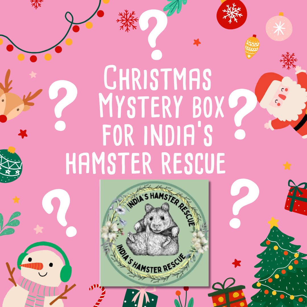 Mystery Christmas  Box for India's Hamster Rescue